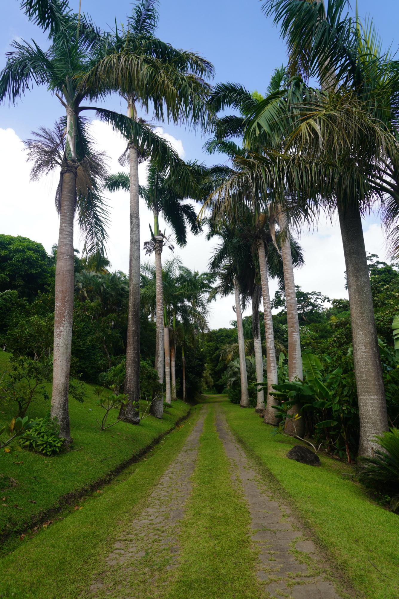 The grounds of Belmont Estate