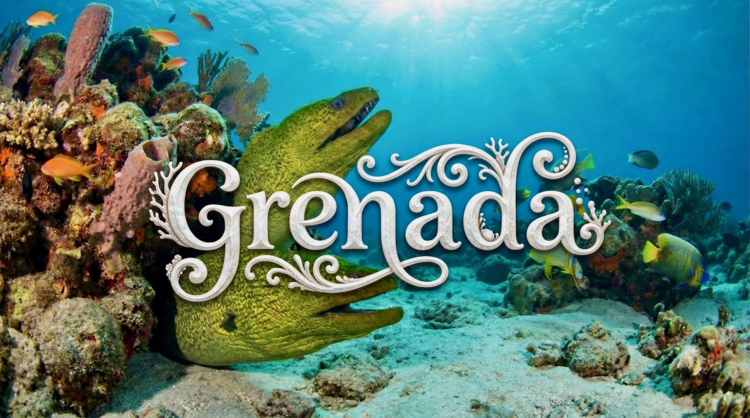 Grenada: Travel Tips from Our Seven Months There