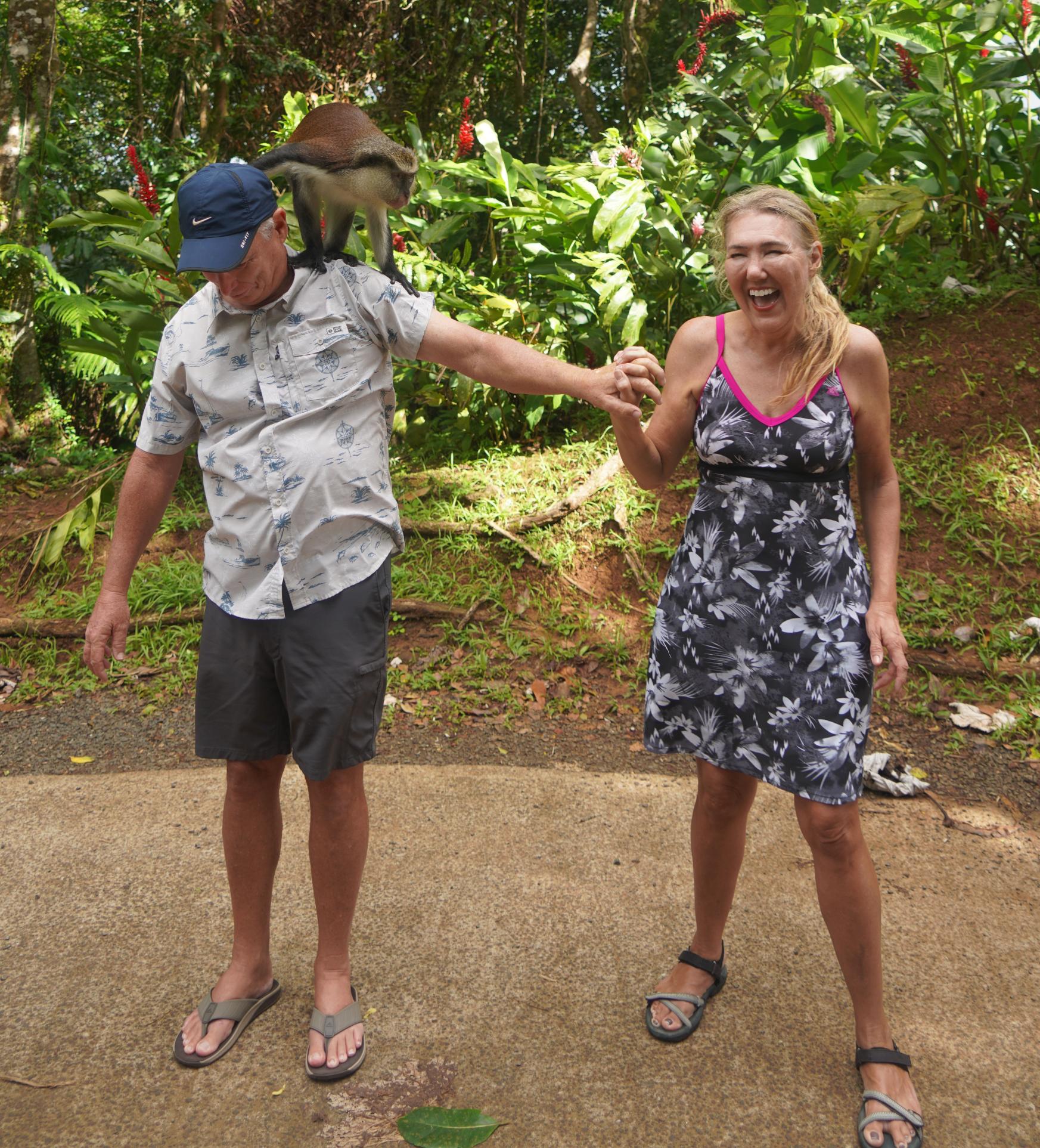 We meet a mona monkey at Grand Etang Lake