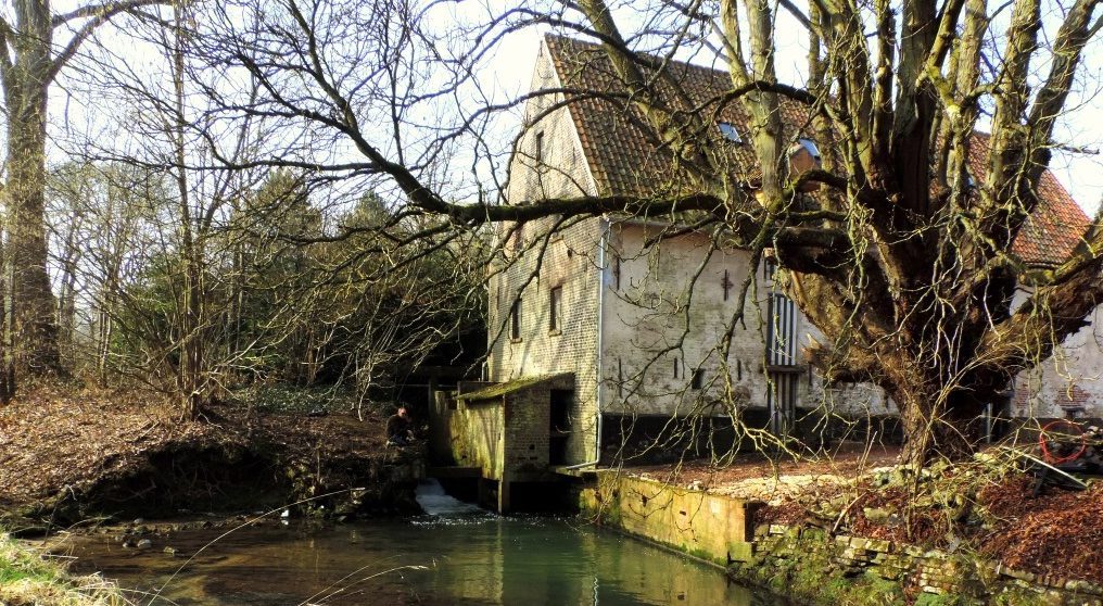 Loonbeek near Huldenberg Belgium