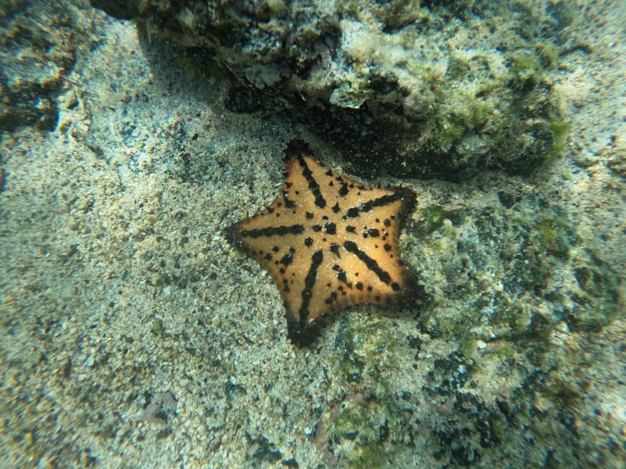 Isabela Island, Galapagos