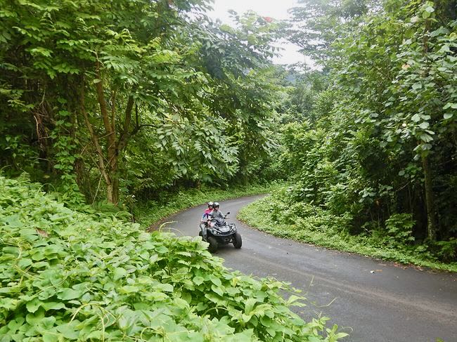 ATVs on Mo'orea