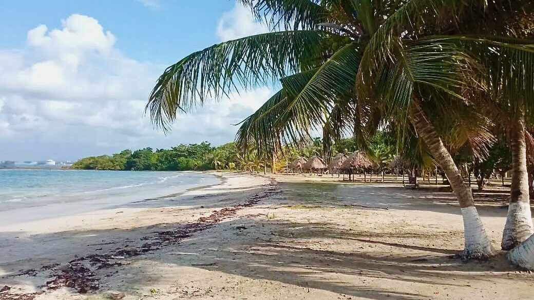 Playa Sherman, Colon, Panama
