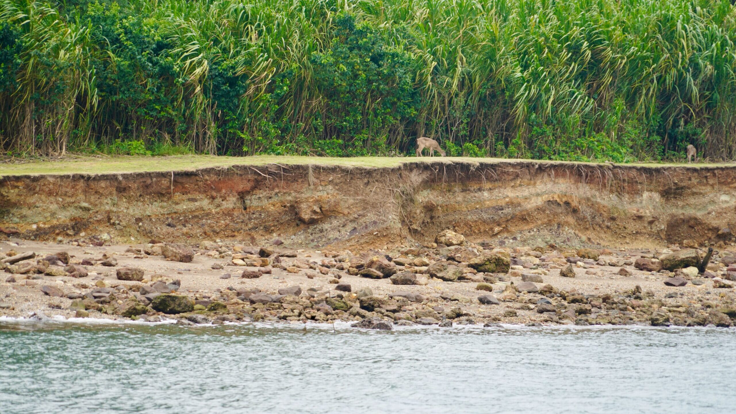 Panama Canal Pacific Side