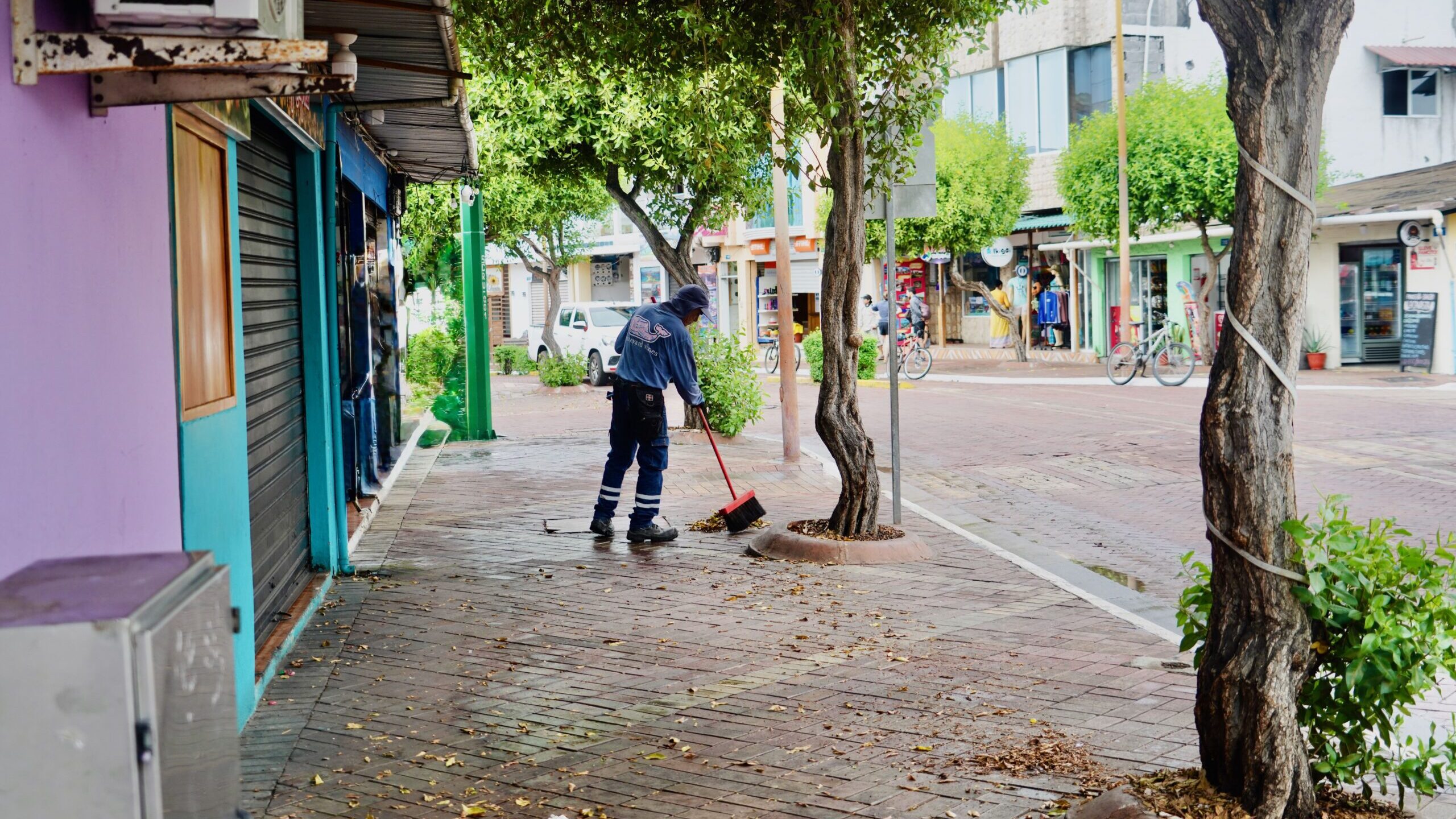 Santa Cruz. Galapagos