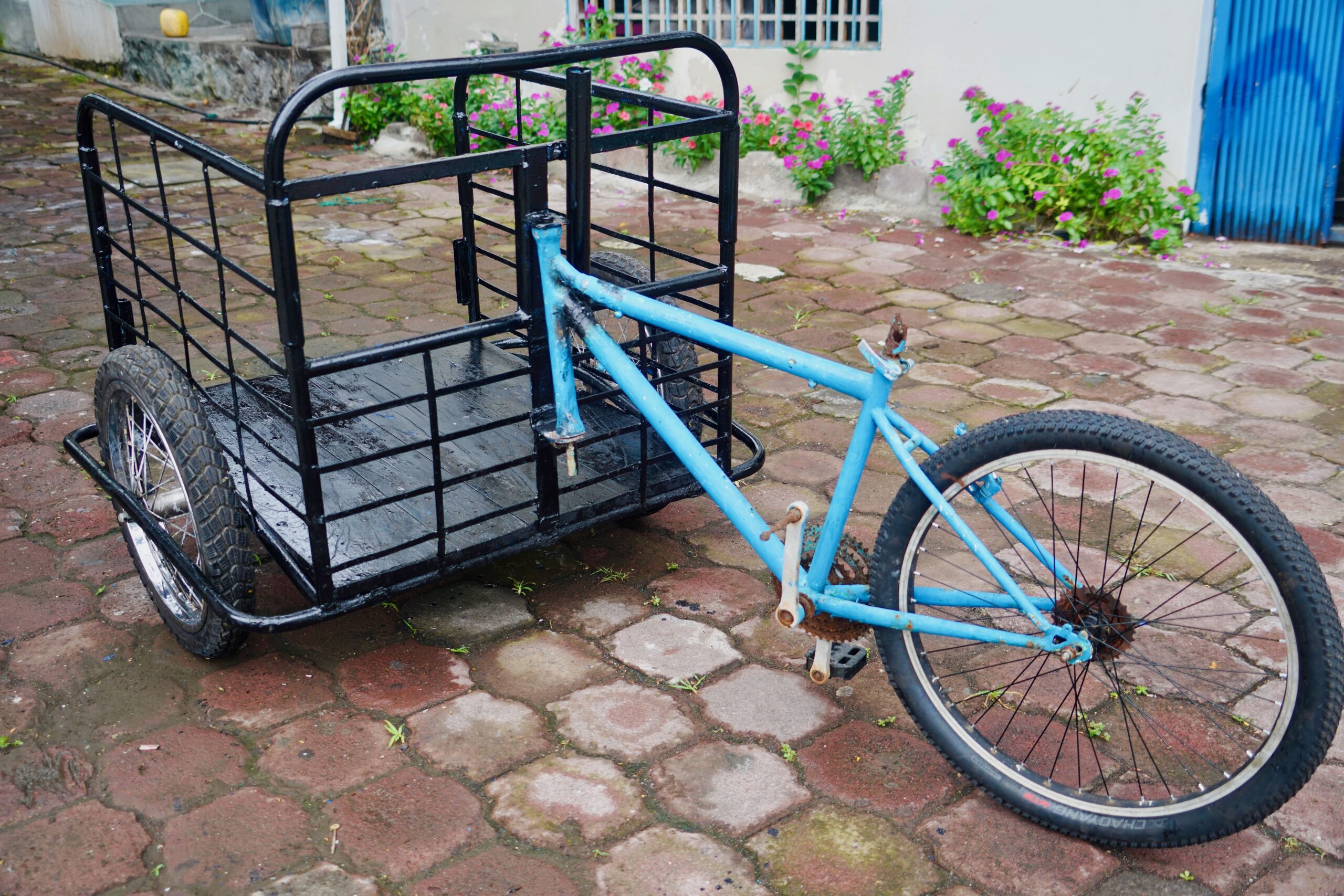 Santa Cruz. Galapagos