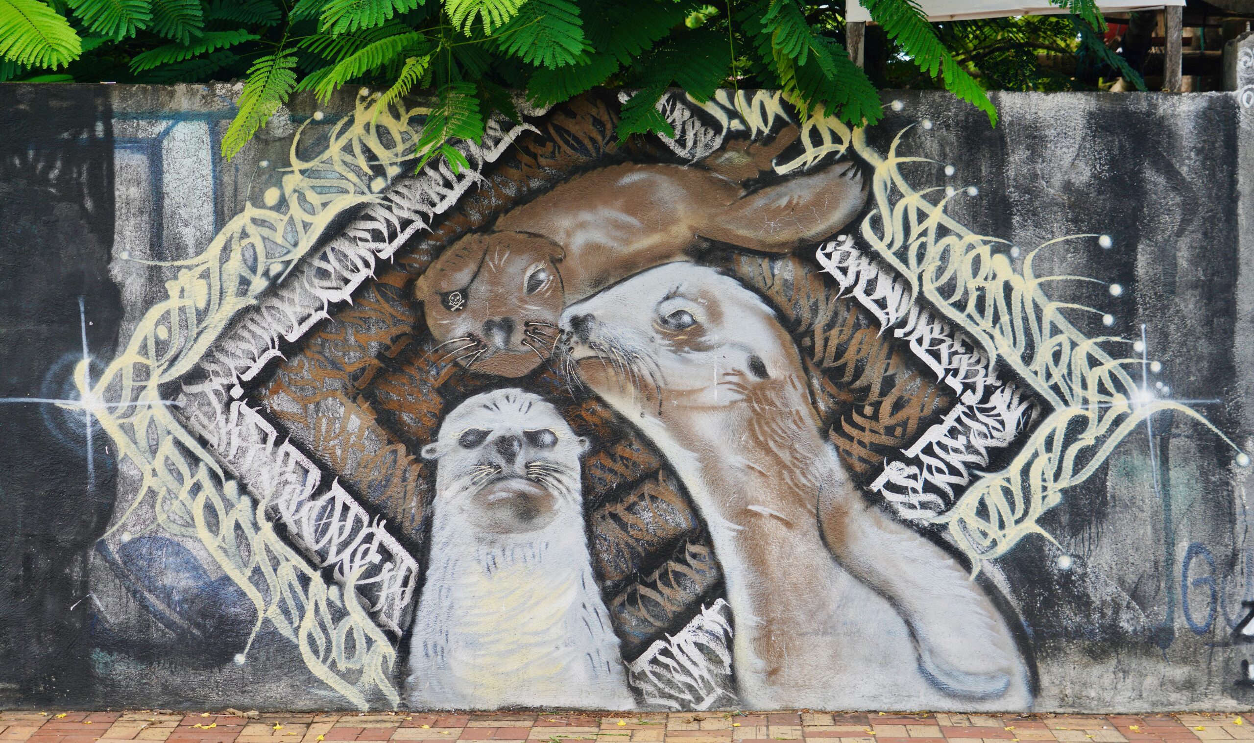 Santa Cruz. Galapagos