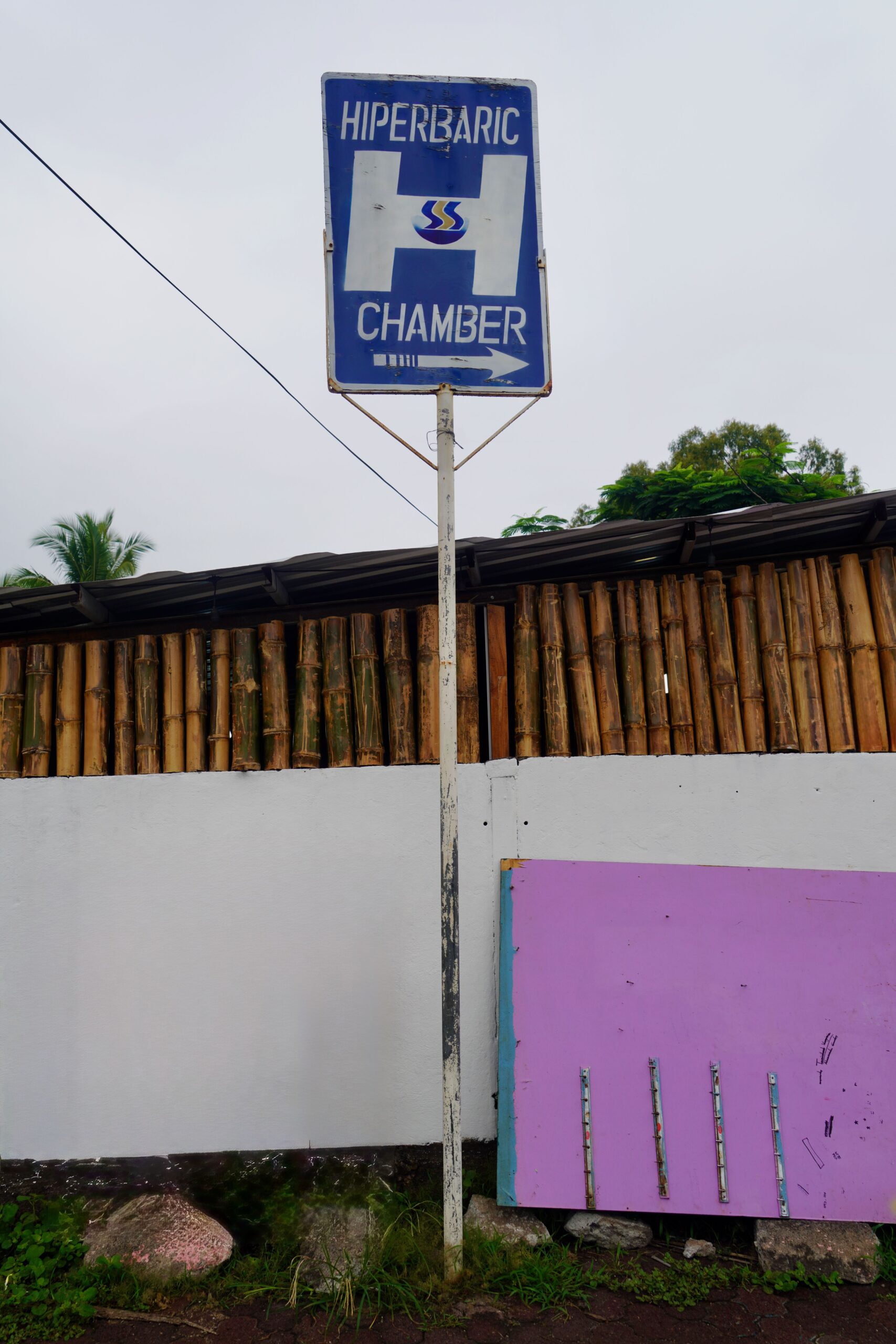 Santa Cruz. Galapagos