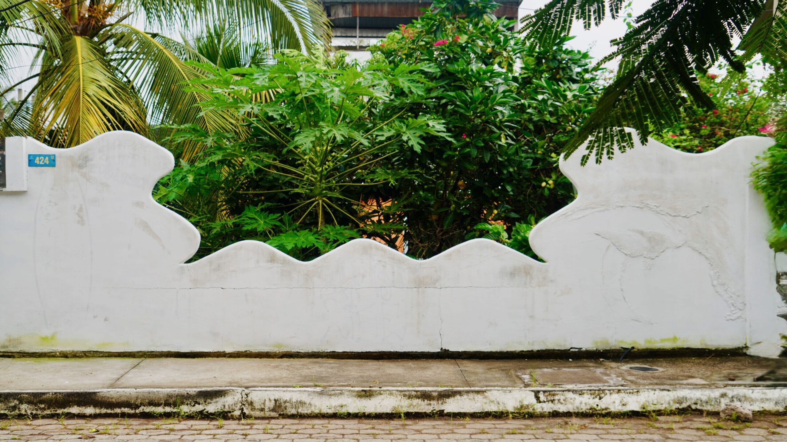 Santa Cruz. Galapagos