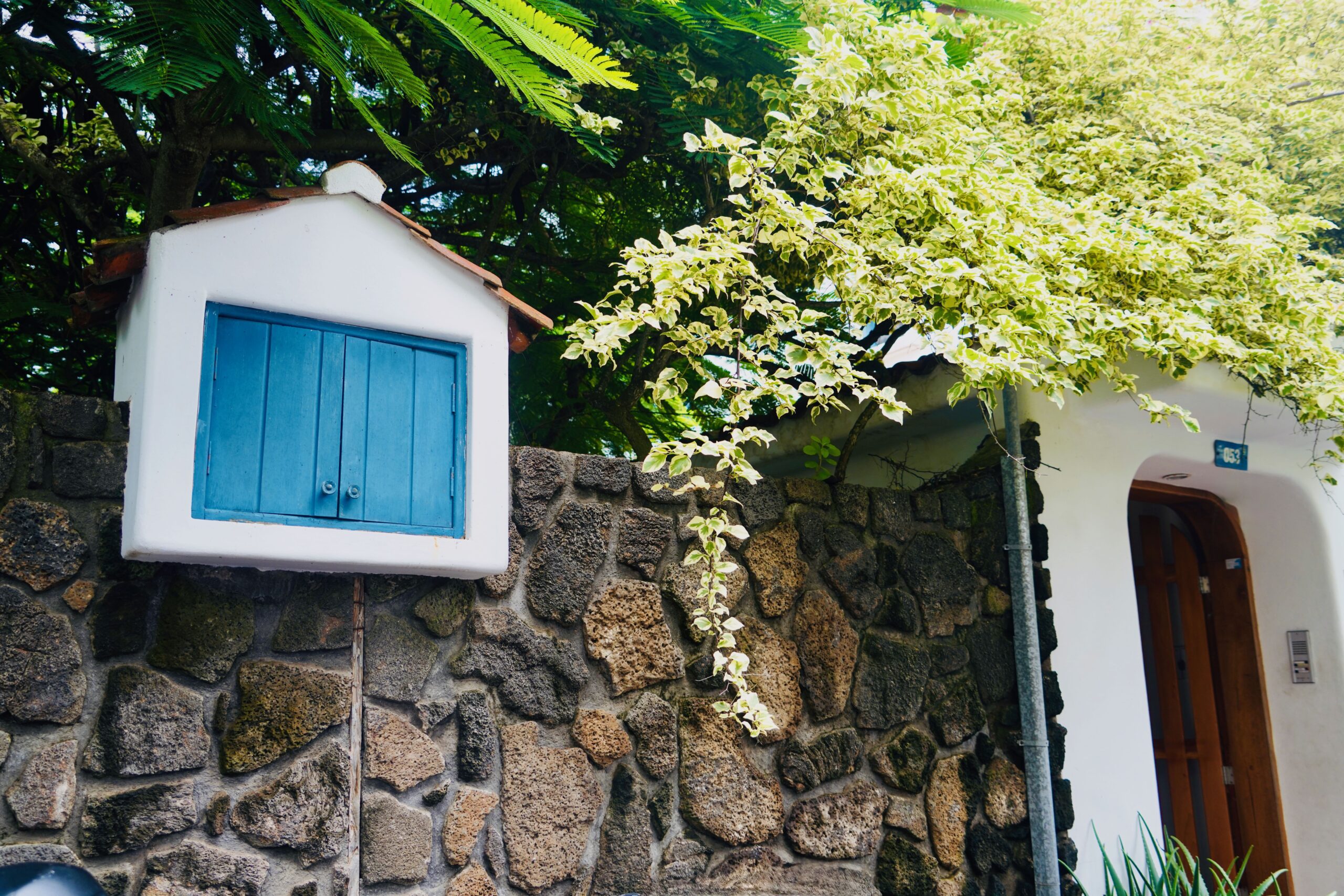 Santa Cruz. Galapagos