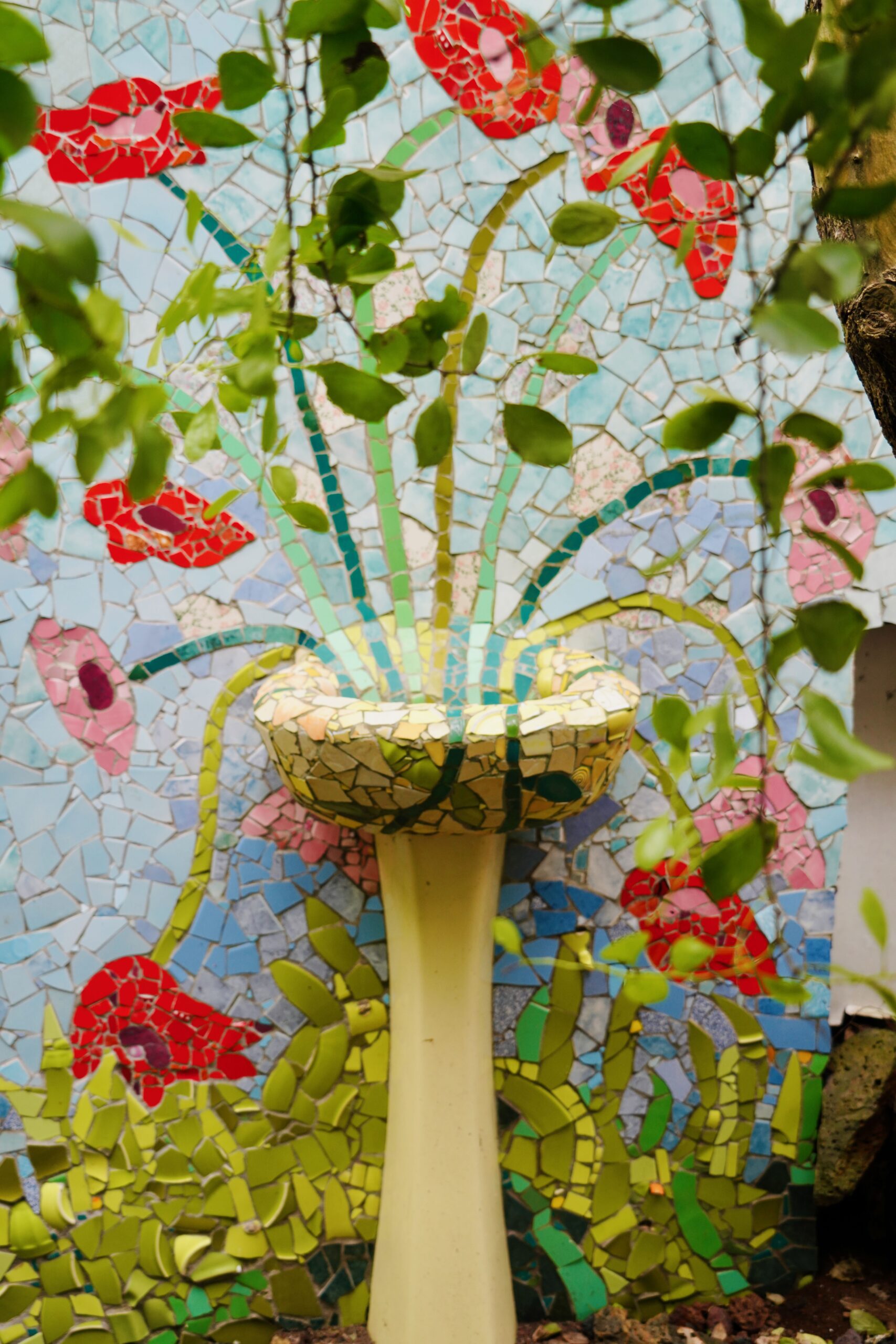 Santa Cruz. Galapagos