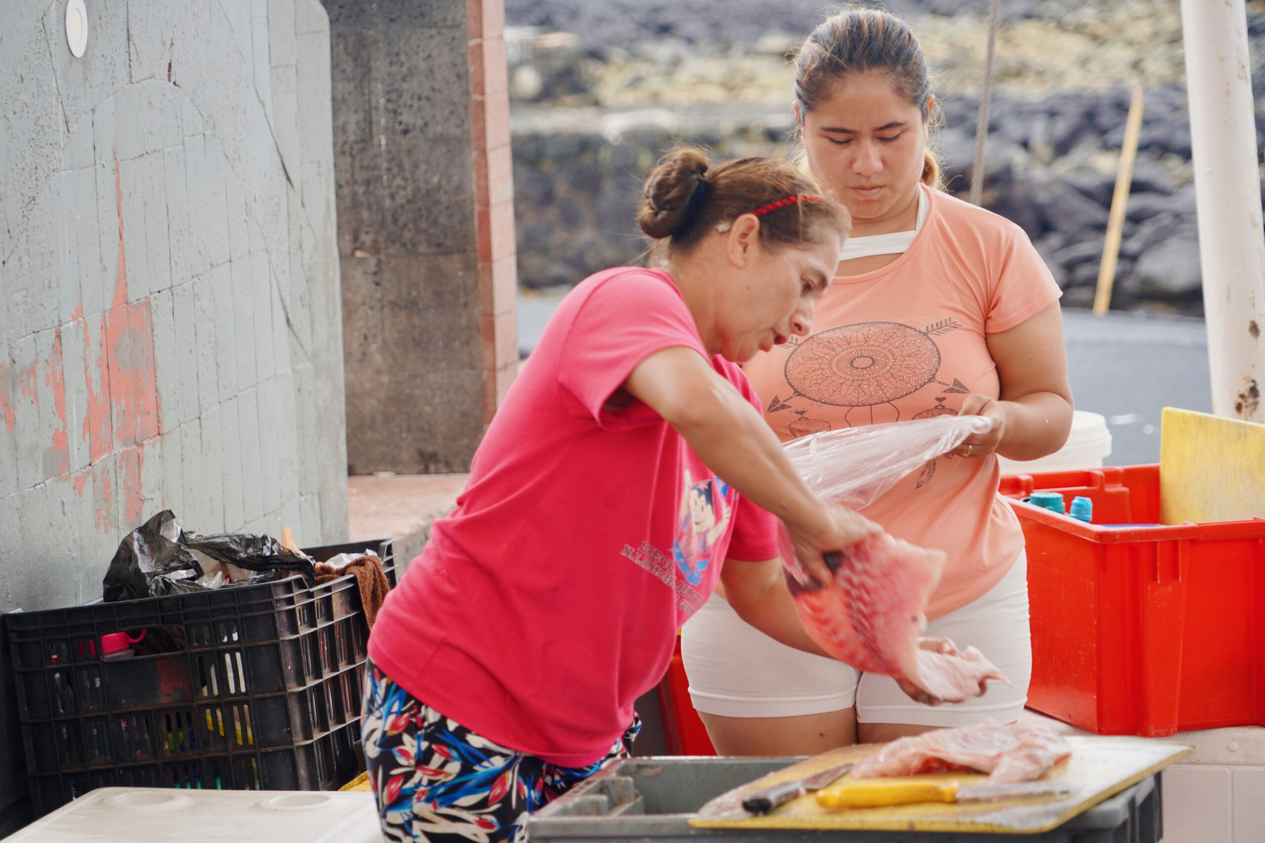 Santa Cruz. Galapagos