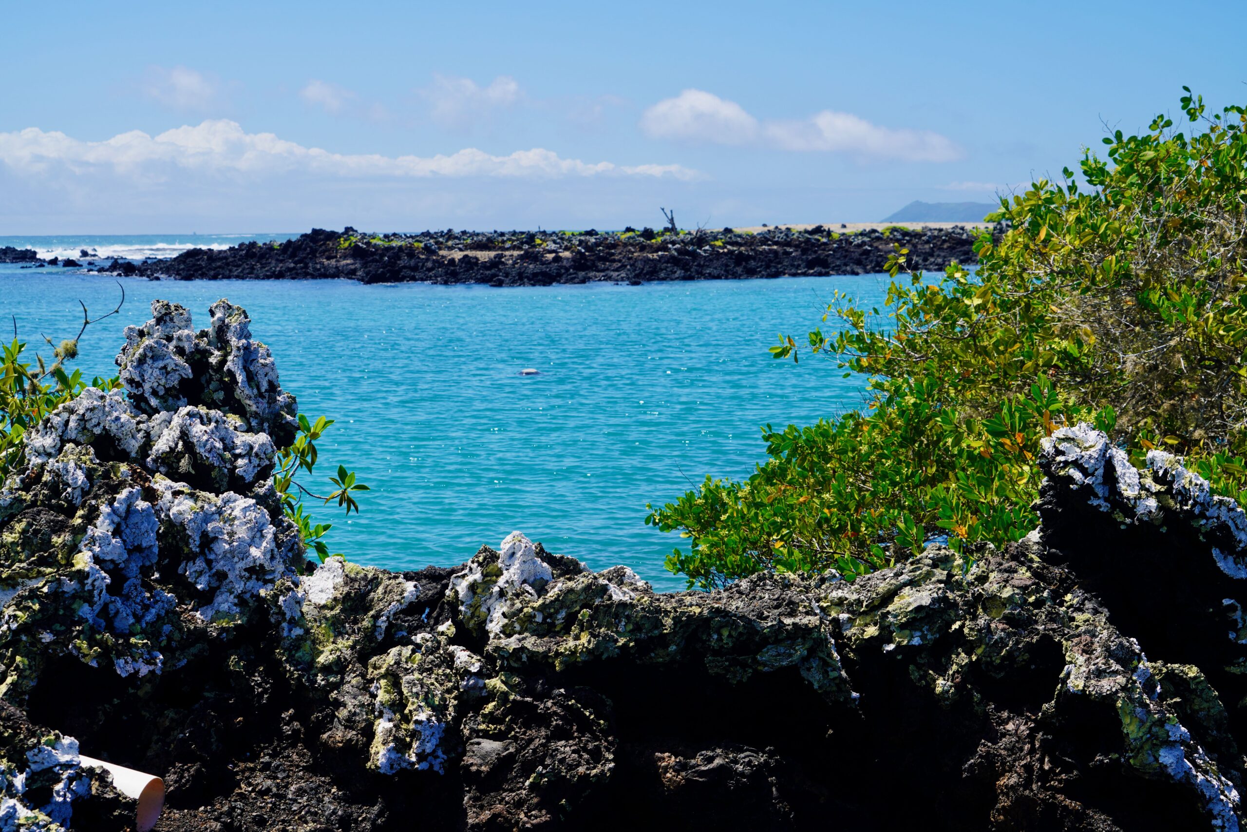 Isabela Island, Galapagos