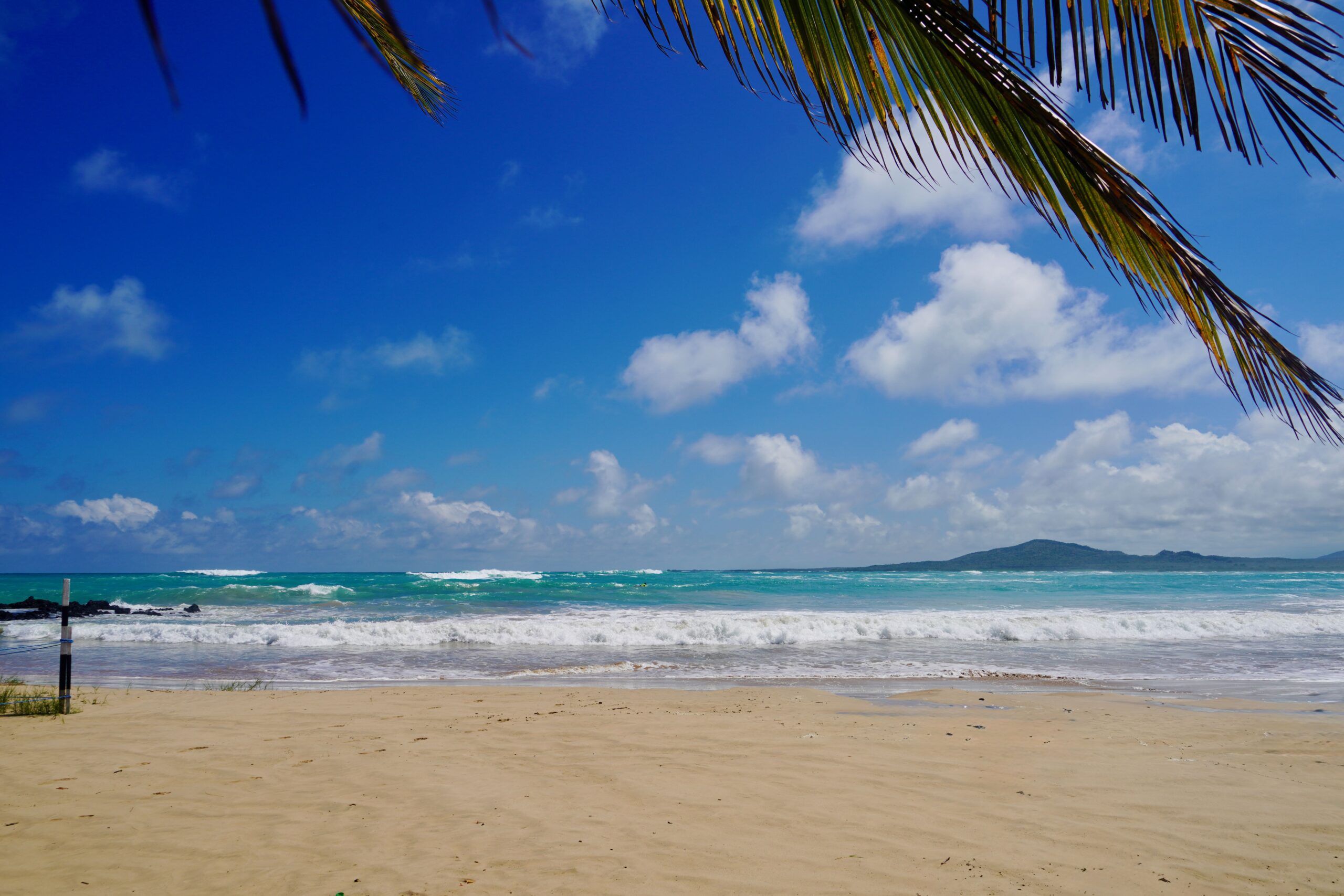 Isabela Island, Galapagos