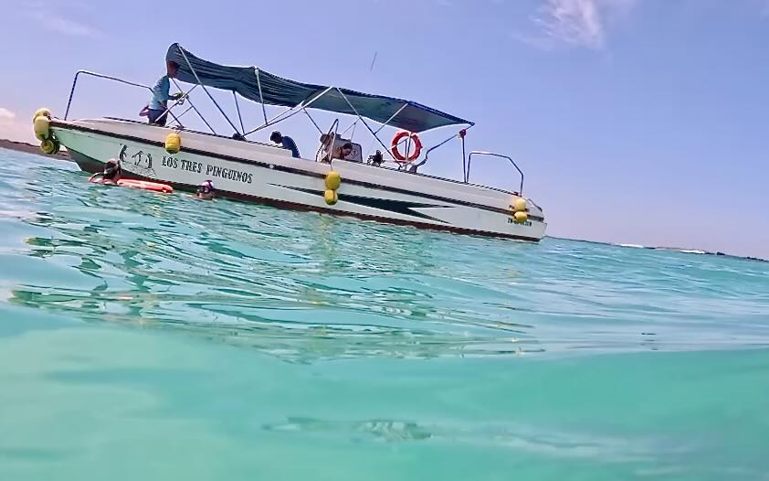 Isabela Island, Galapagos