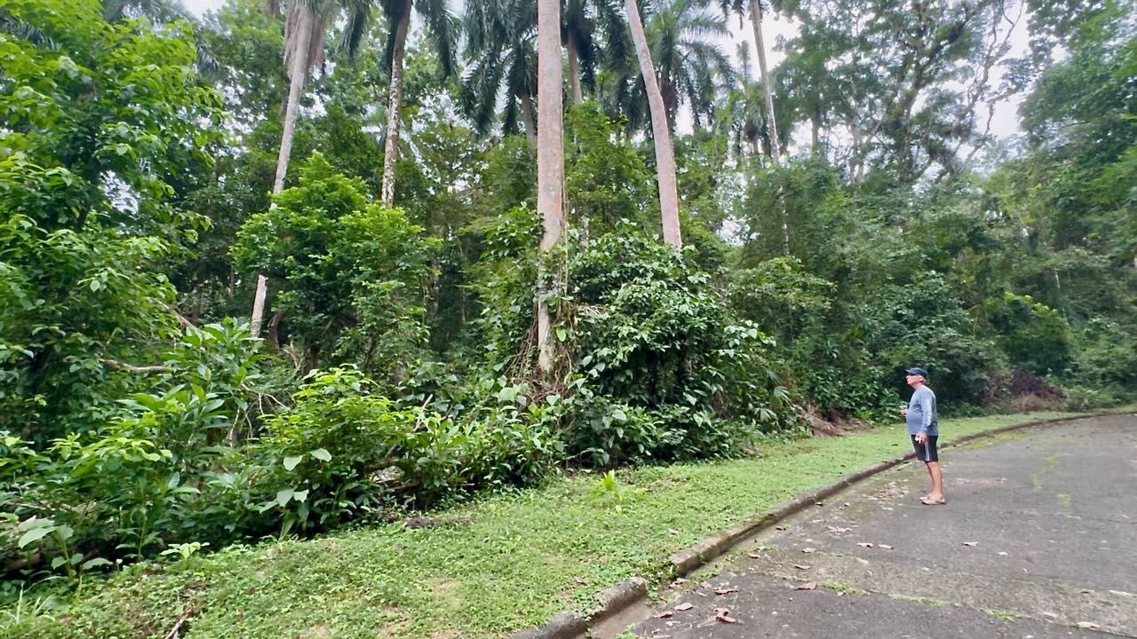 San Lorenzo National Park, Colon, Panama
