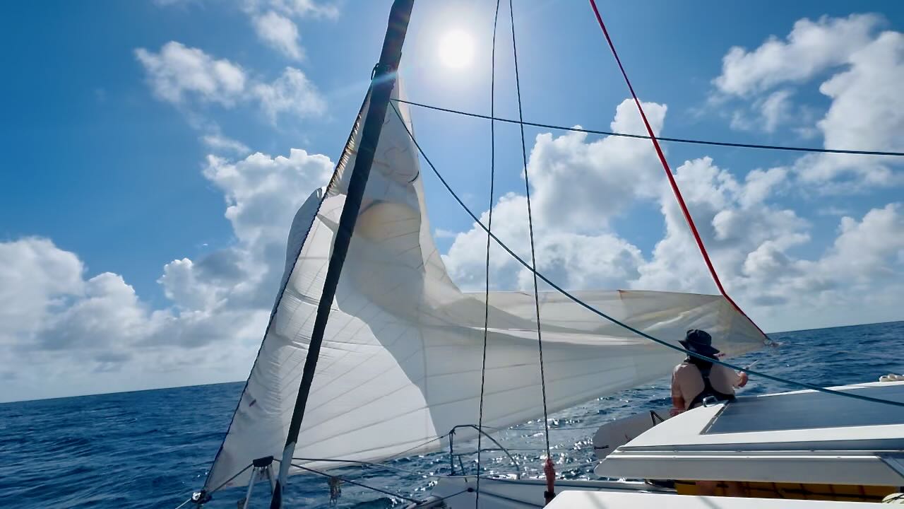 Pacific Crossing—torn sail