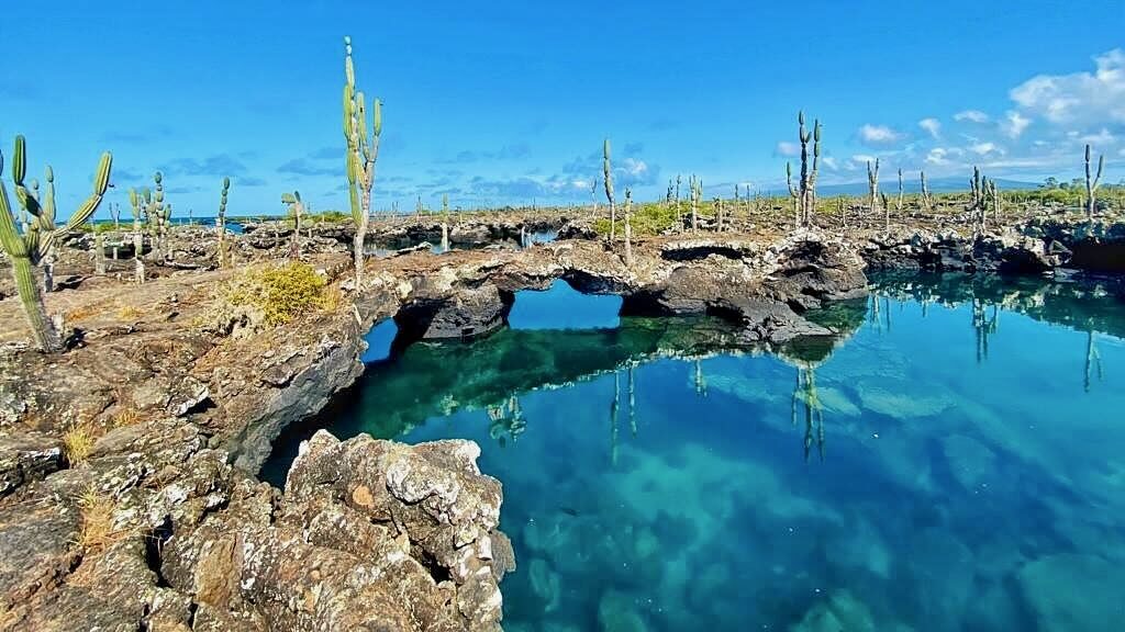 Isabela Island, Galapagos
