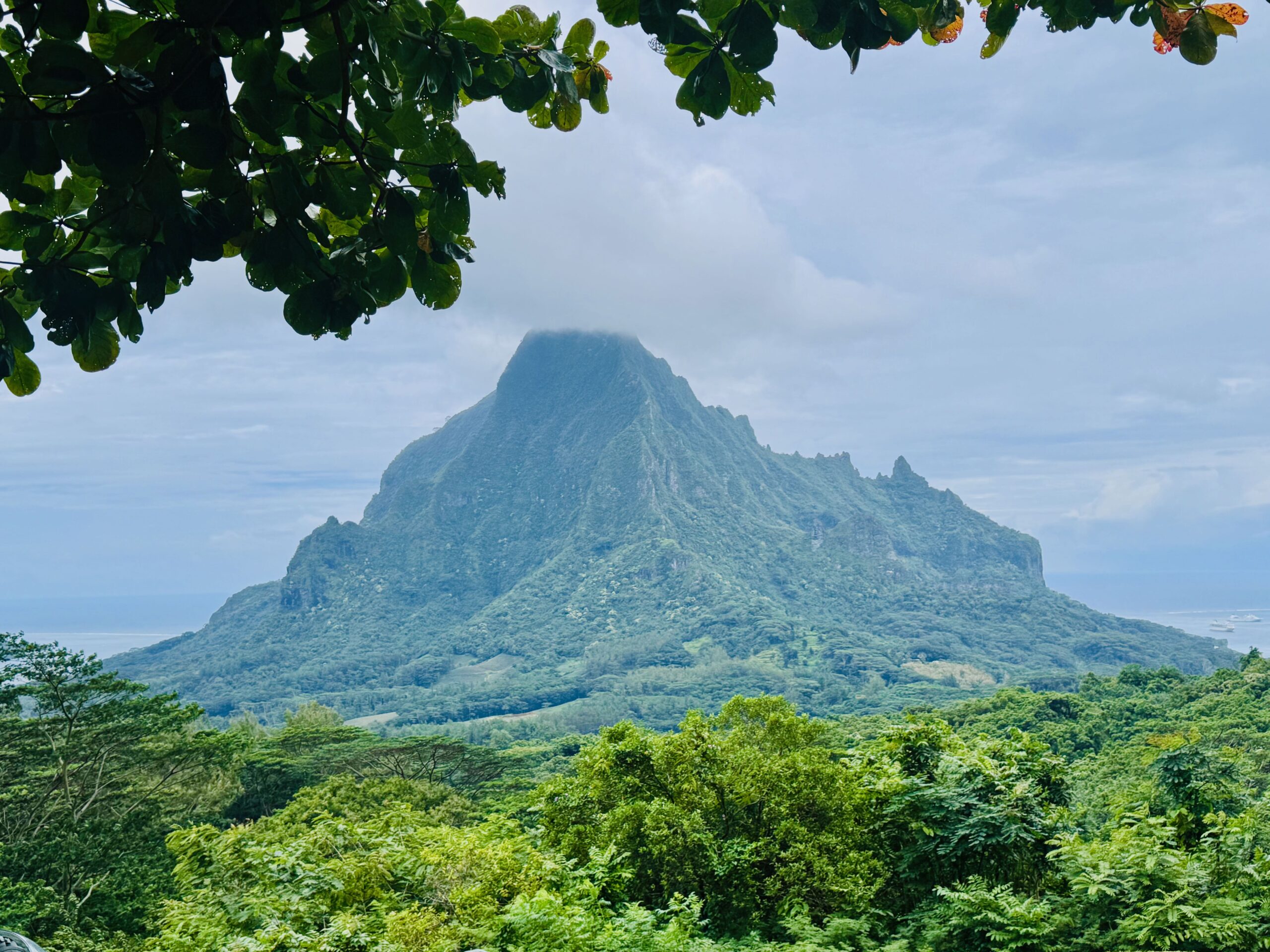 Belvédère d'Opunohu , Mo'orea