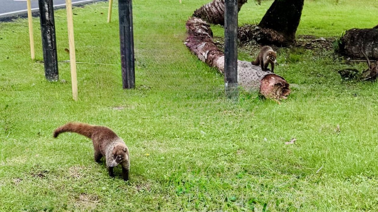 Playa Sherman, Colon, Panama