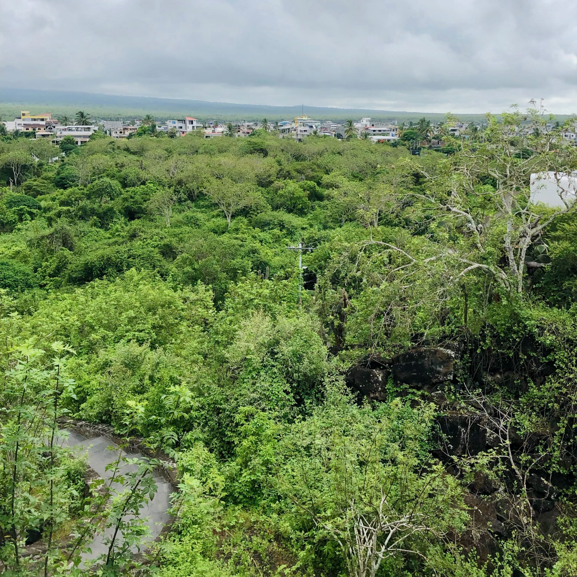 Santa Cruz. Galapagos