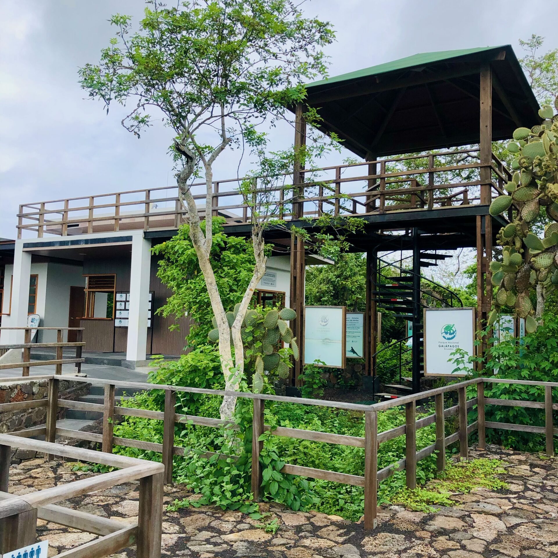 Santa Cruz. Galapagos