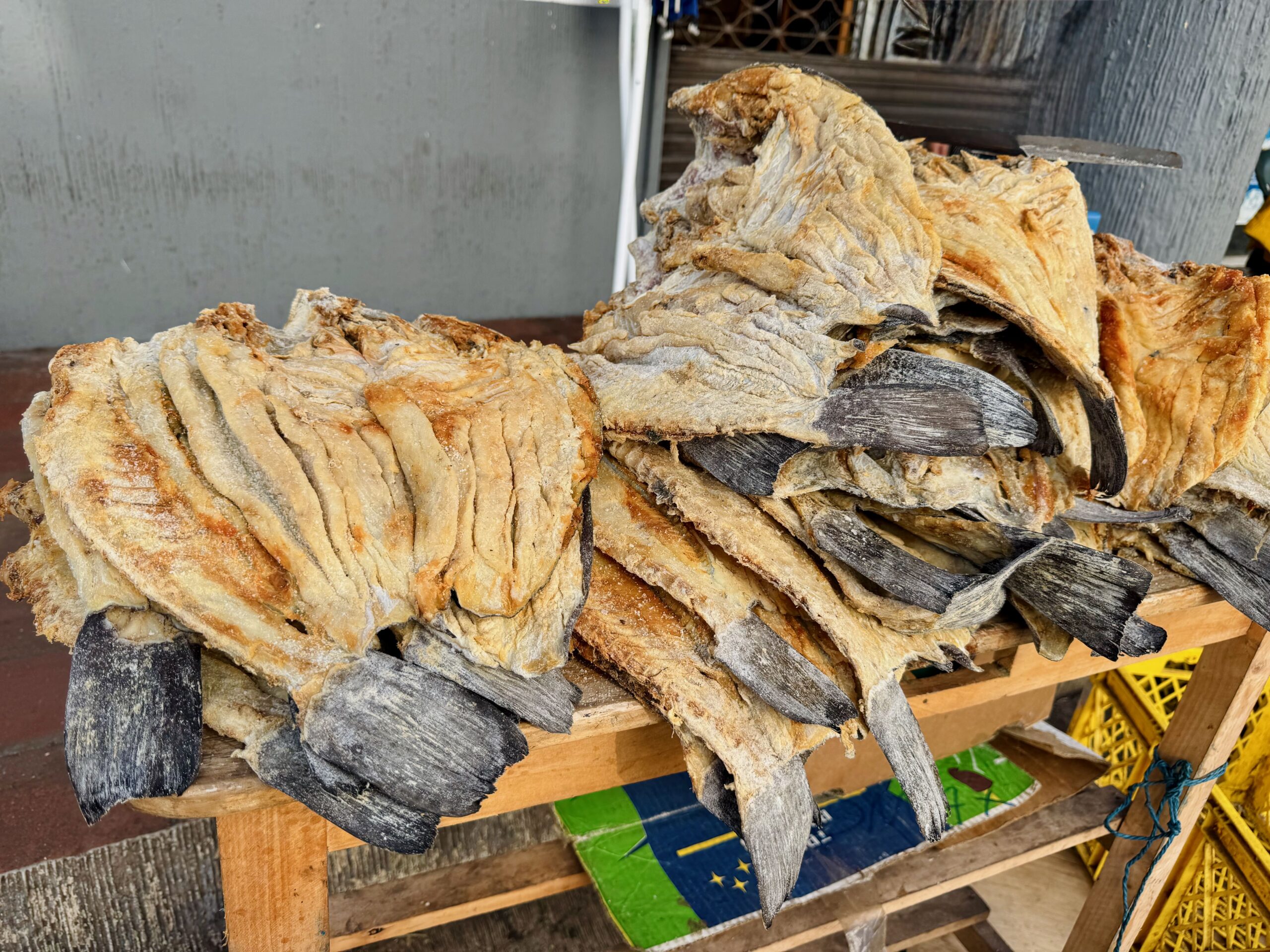 Santa Cruz. Galapagos