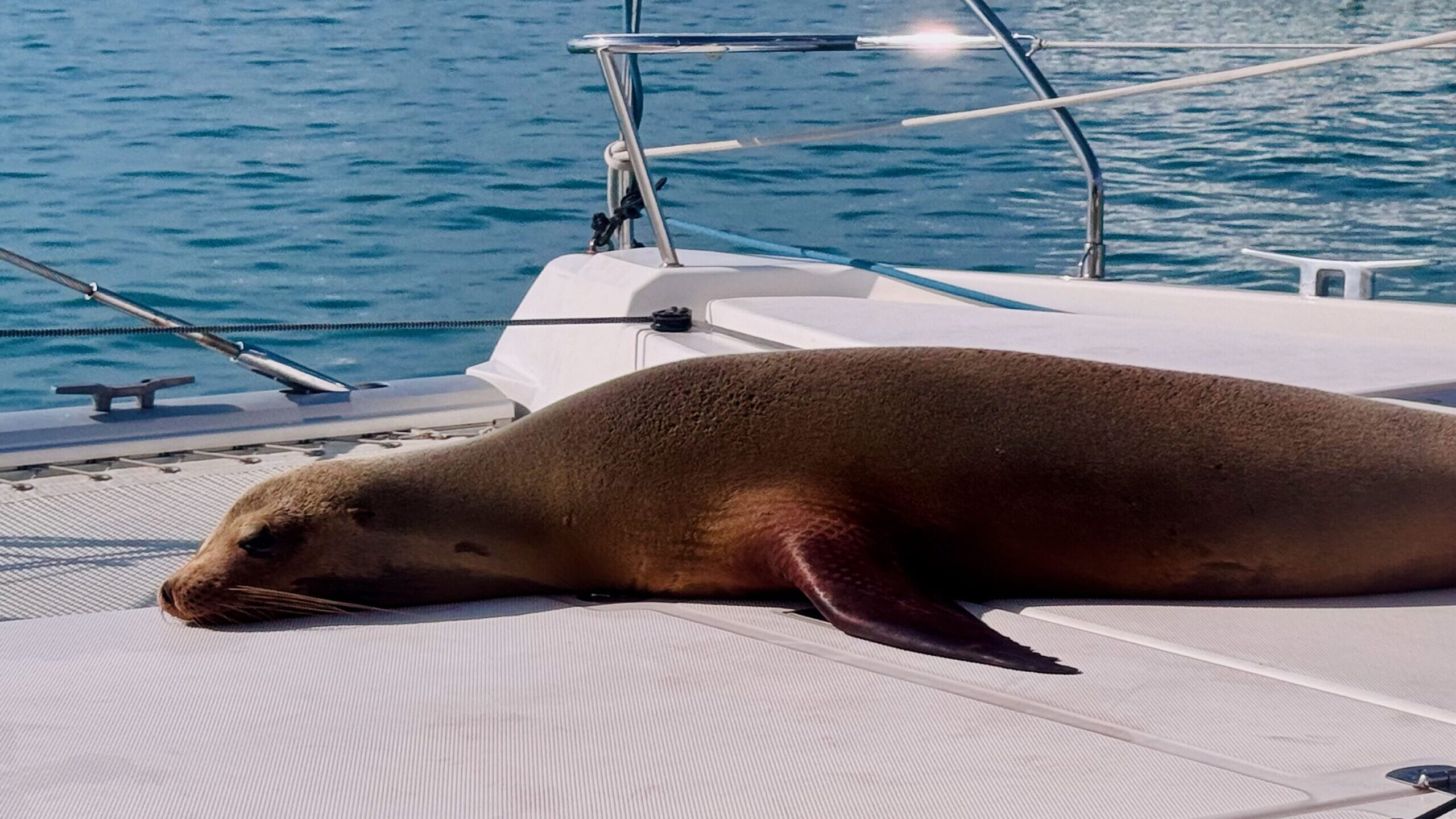 Santa Cruz. Galapagos