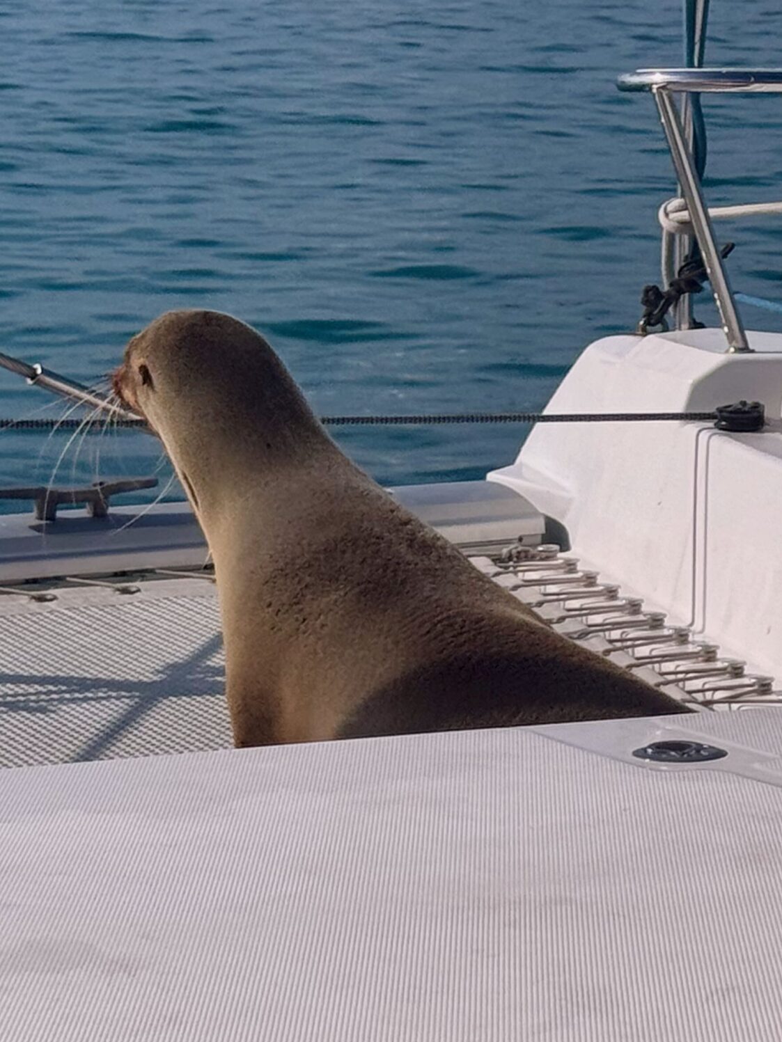 Santa Cruz. Galapagos