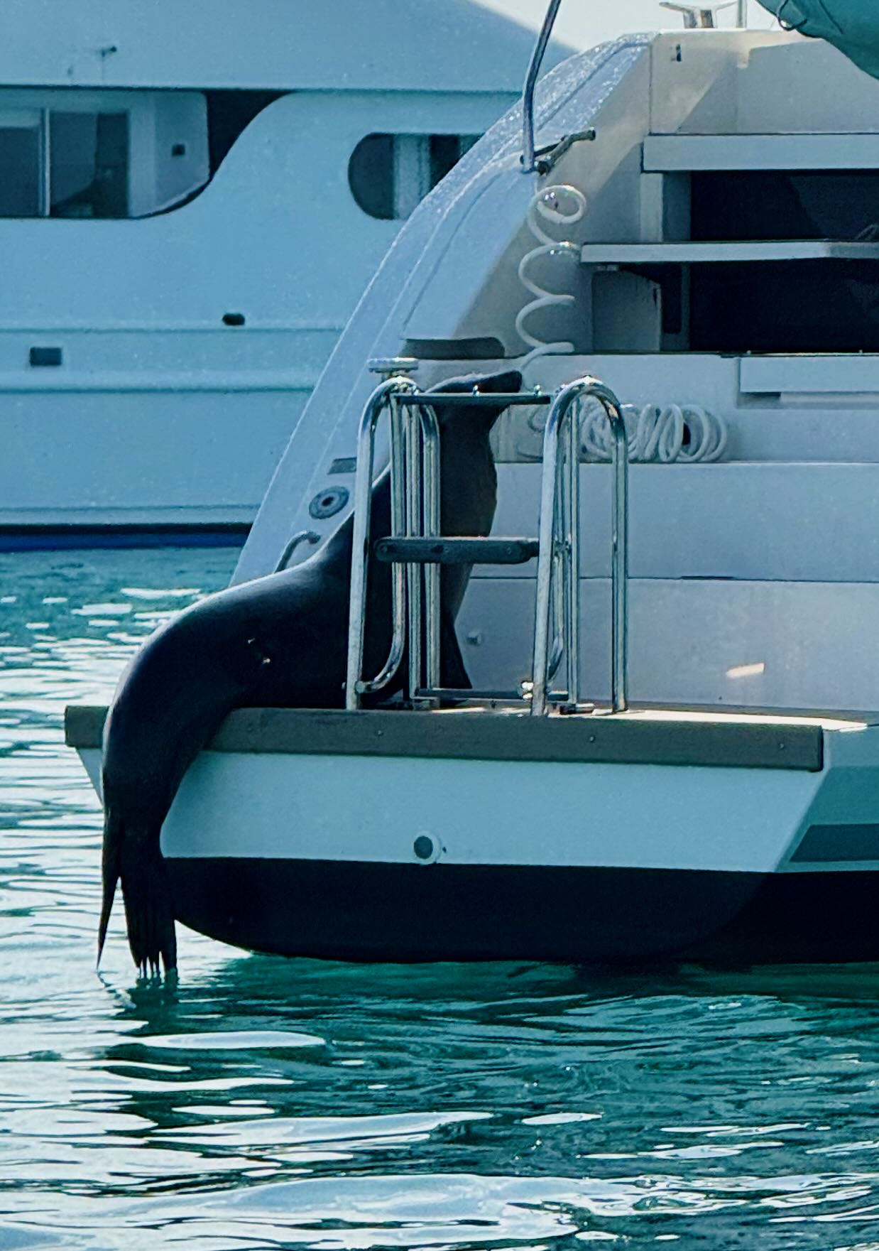 Santa Cruz. Galapagos