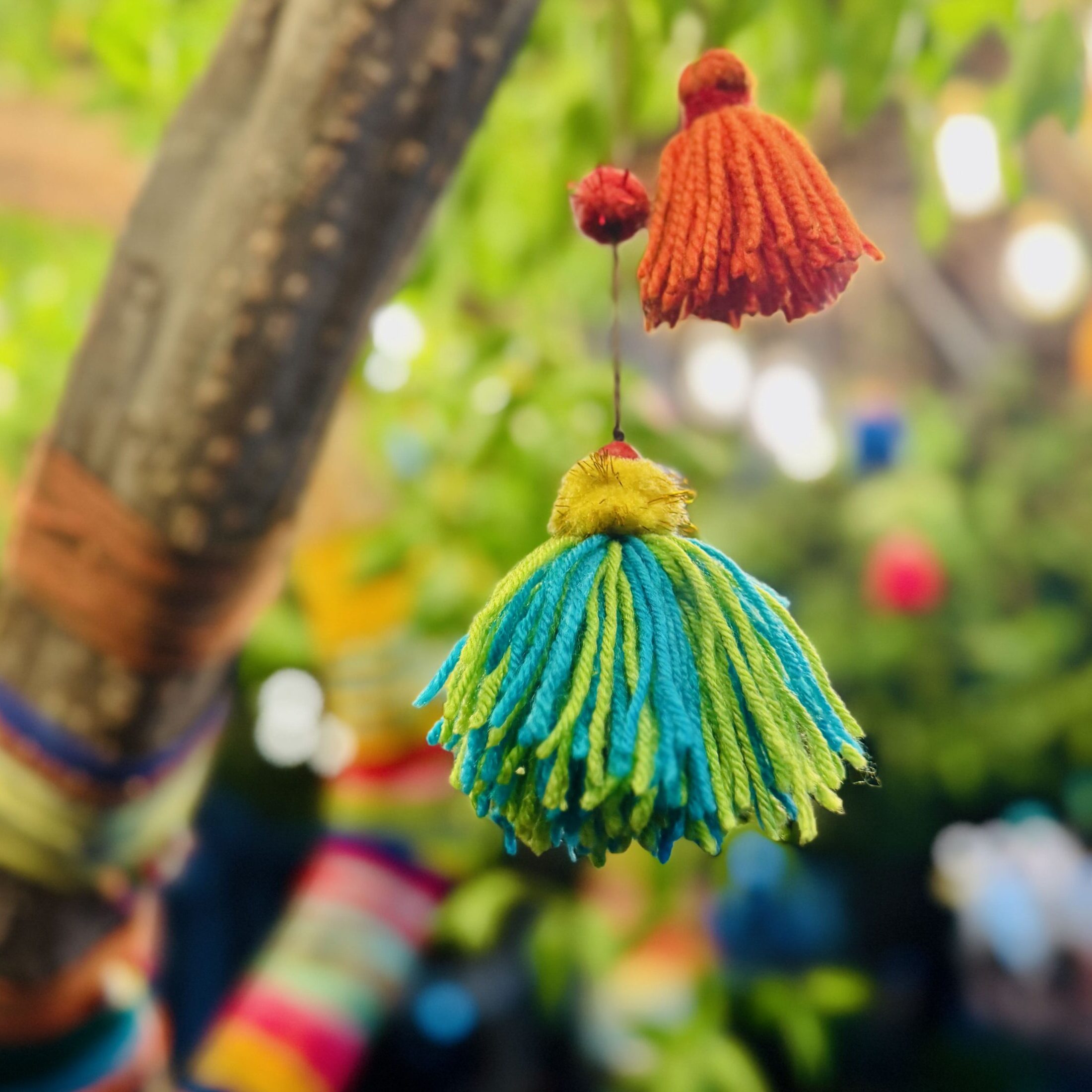 Santa Cruz. Galapagos