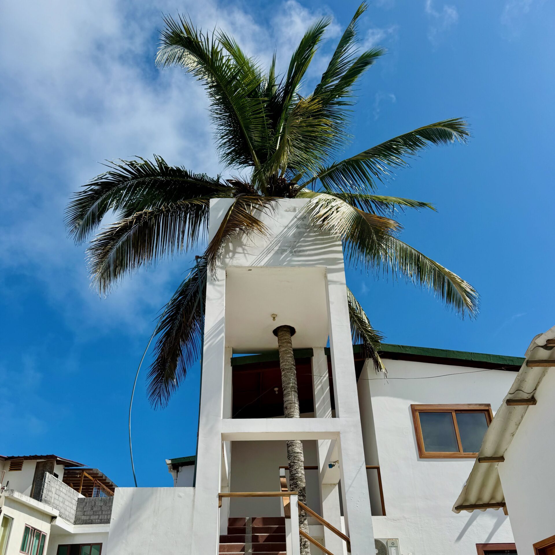 Isabela Island, Galapagos