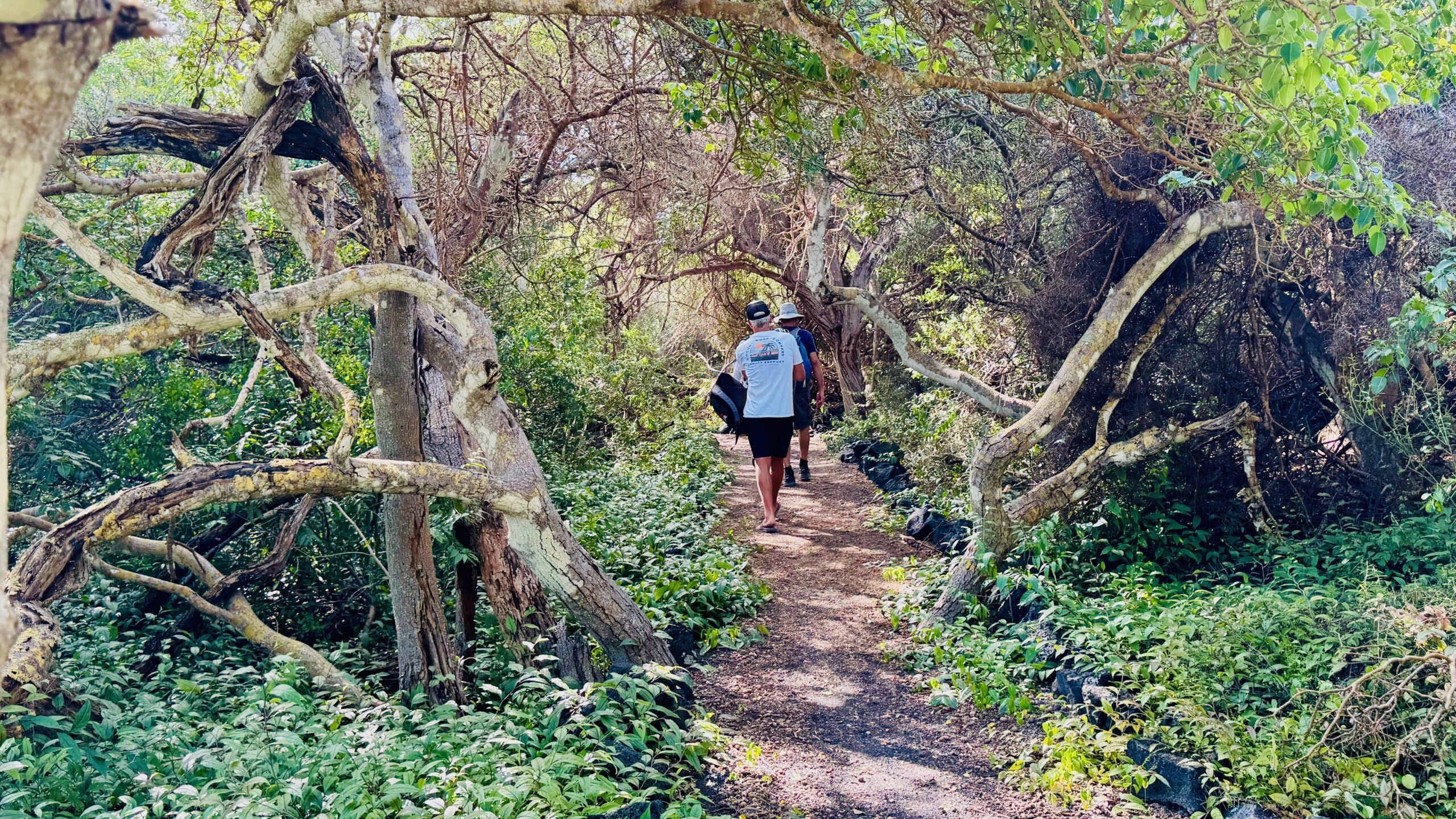 Isabela Island, Galapagos