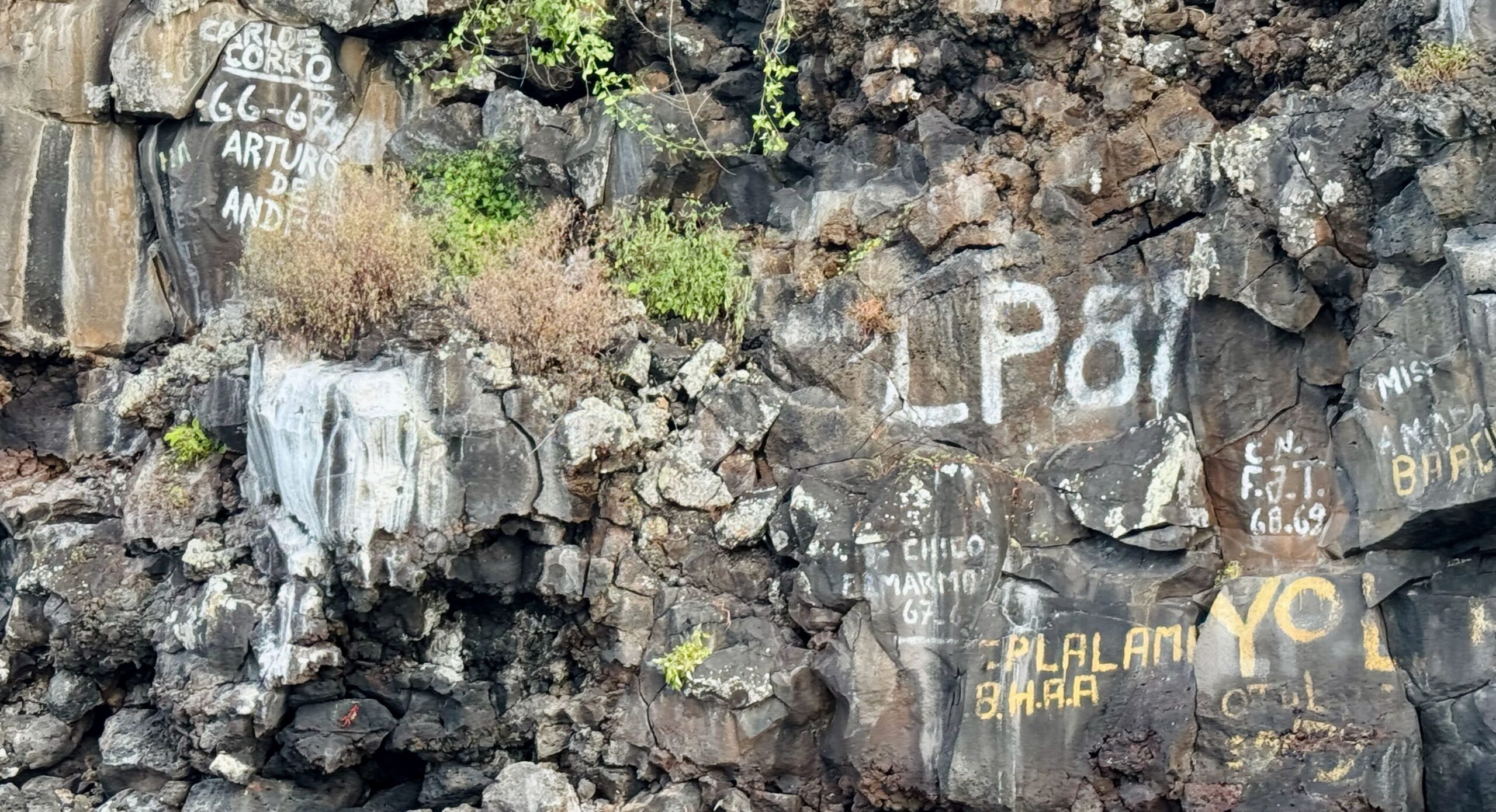 Santa Cruz. Galapagos