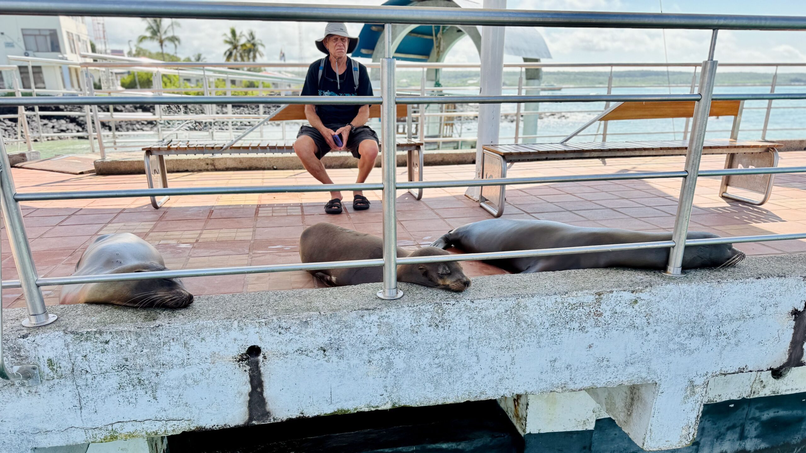 Santa Cruz. Galapagos