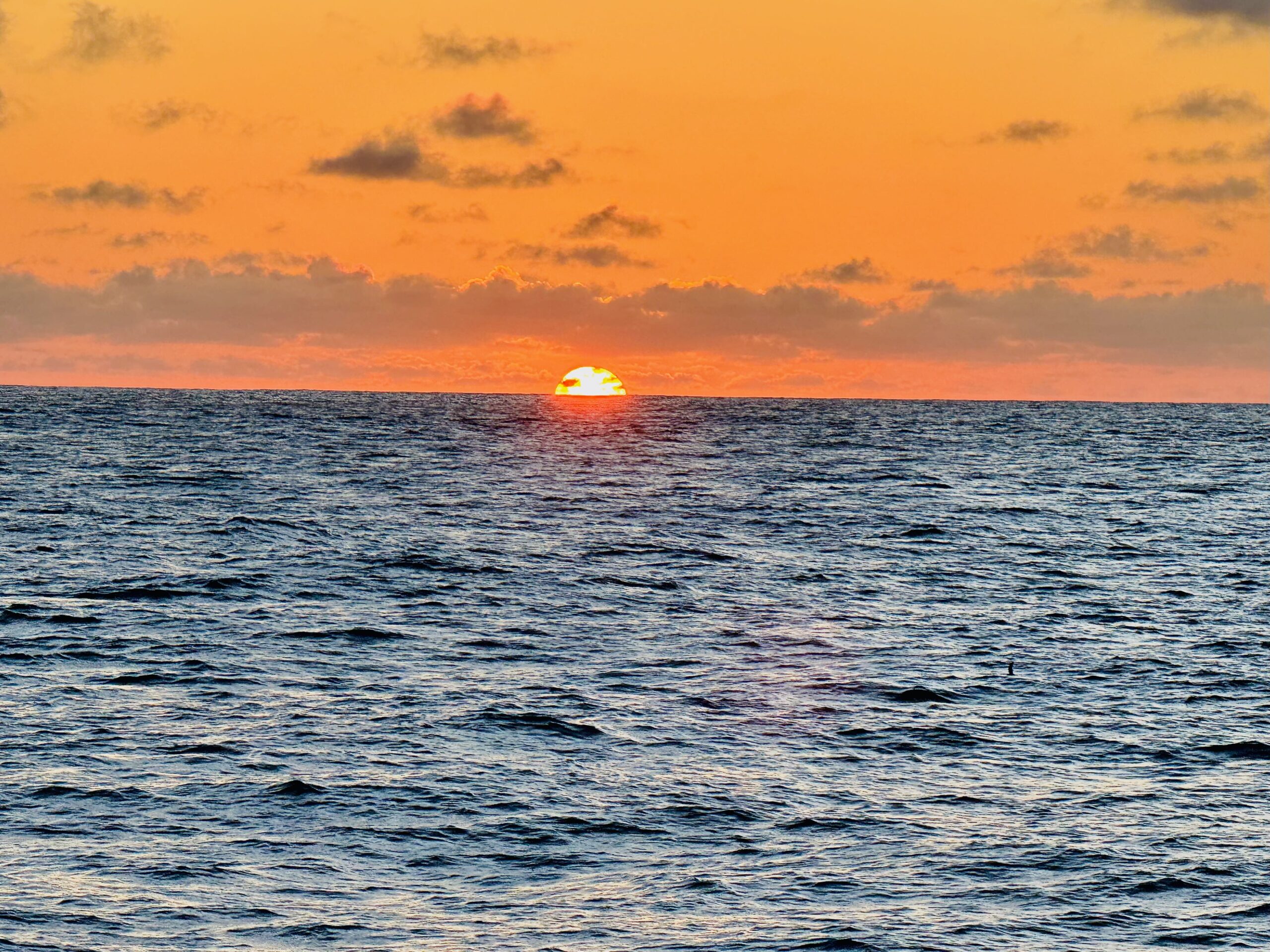 Pacific Crossing—sunset