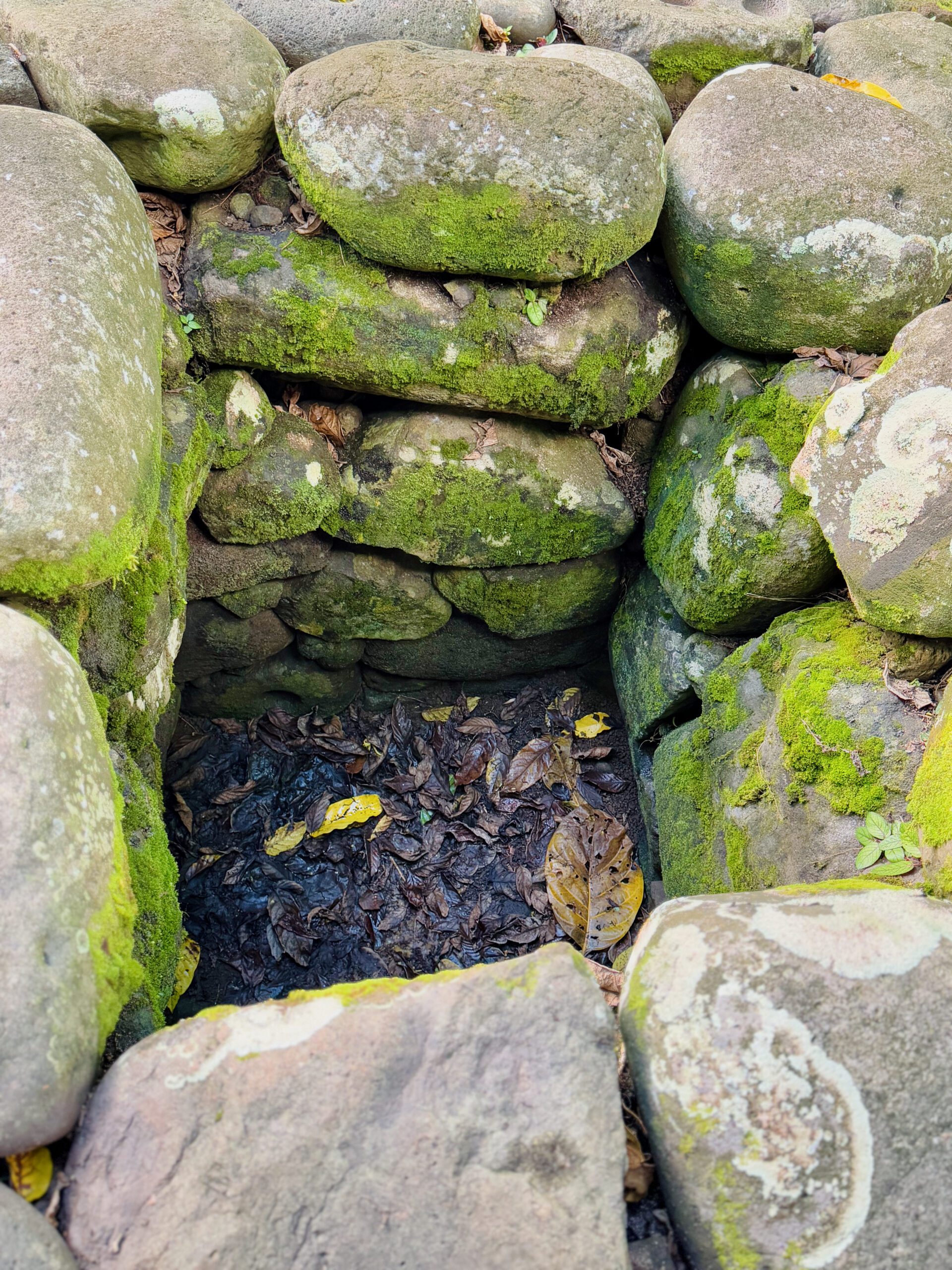 Hatiheu Valley, Nuku Hiva