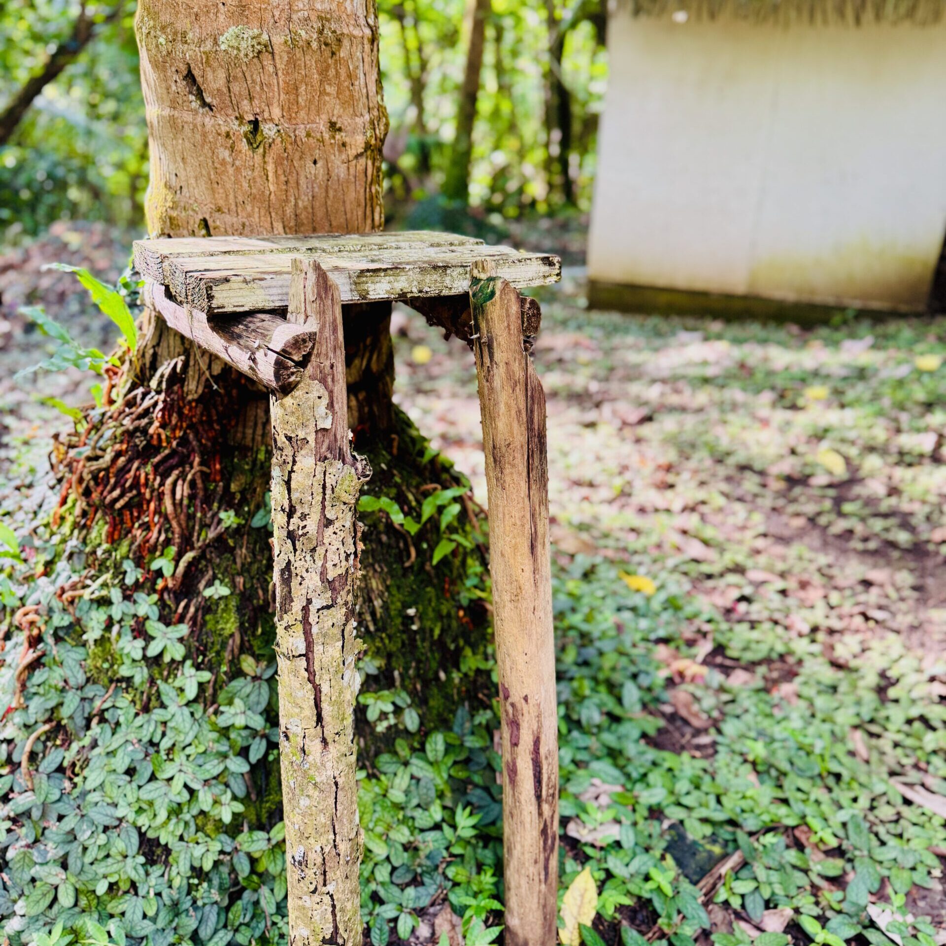 Hatiheu Valley, Nuku Hiva