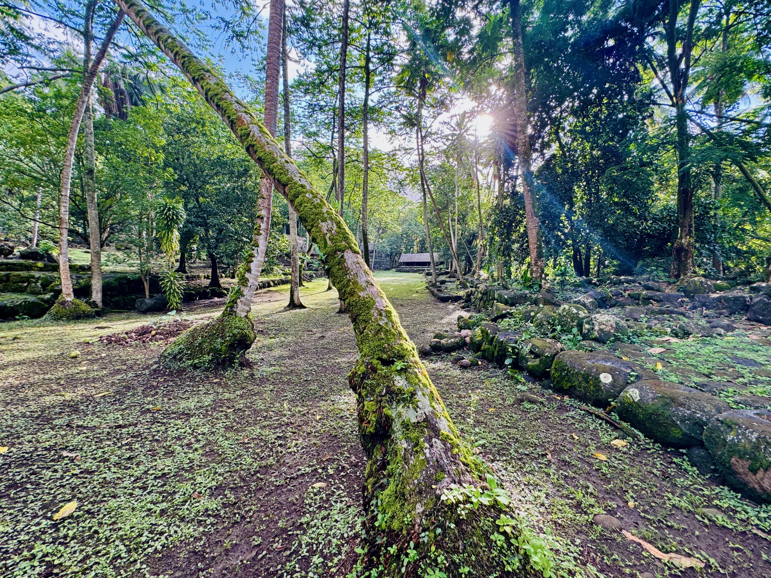 Hatiheu Valley, Nuku Hiva