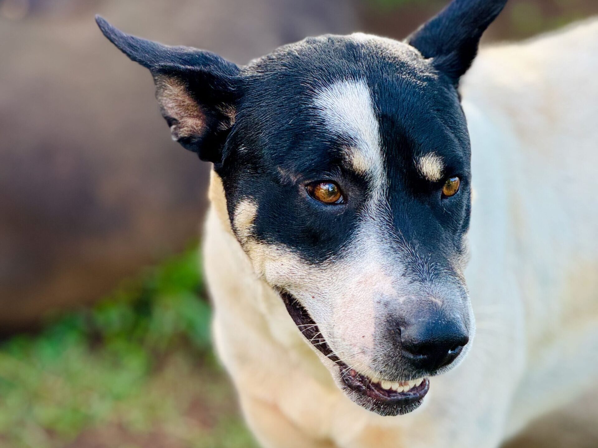 Hatihe’u Beach, Nuku Hiva