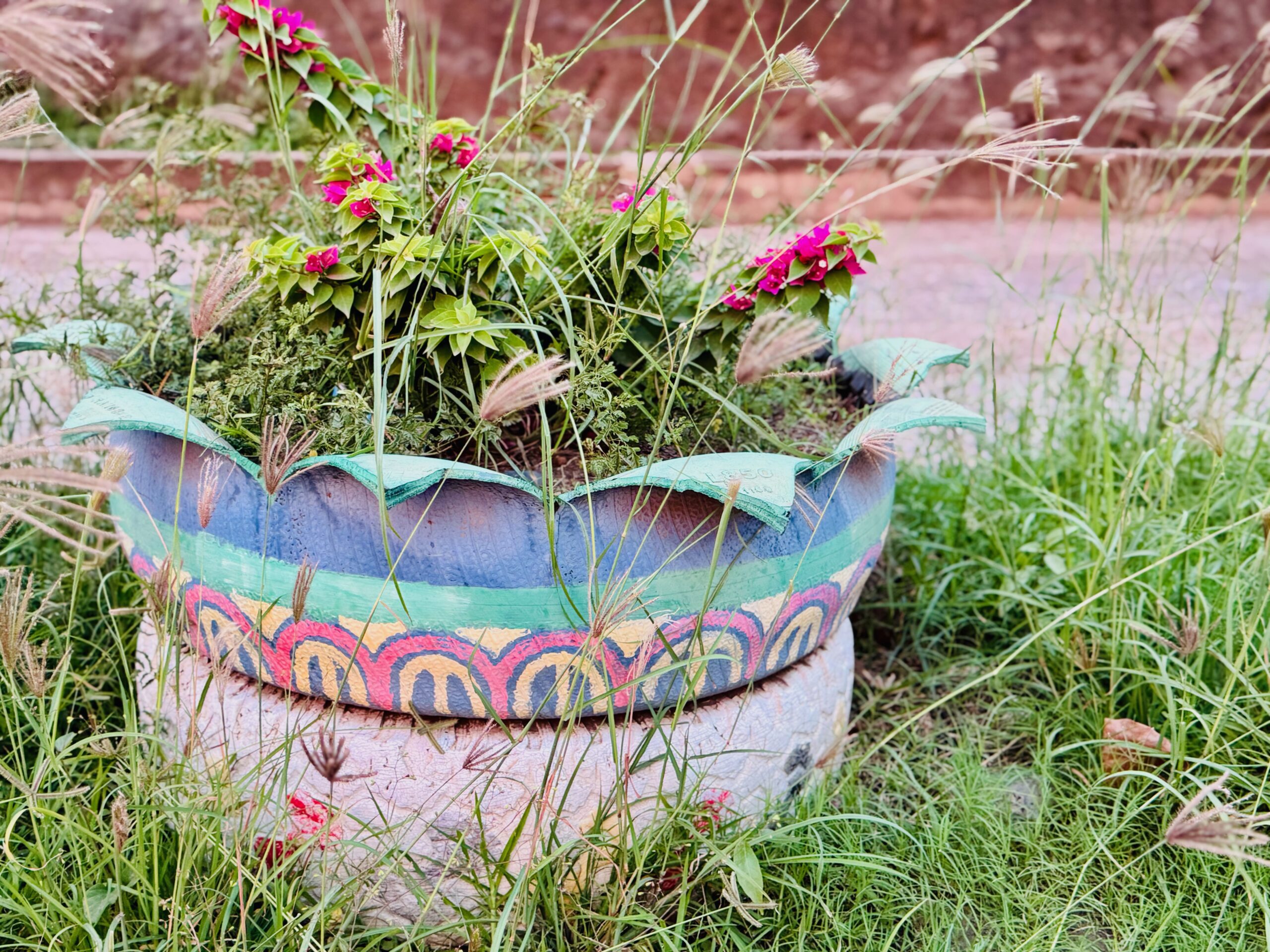 Tire planter, Oa Pou