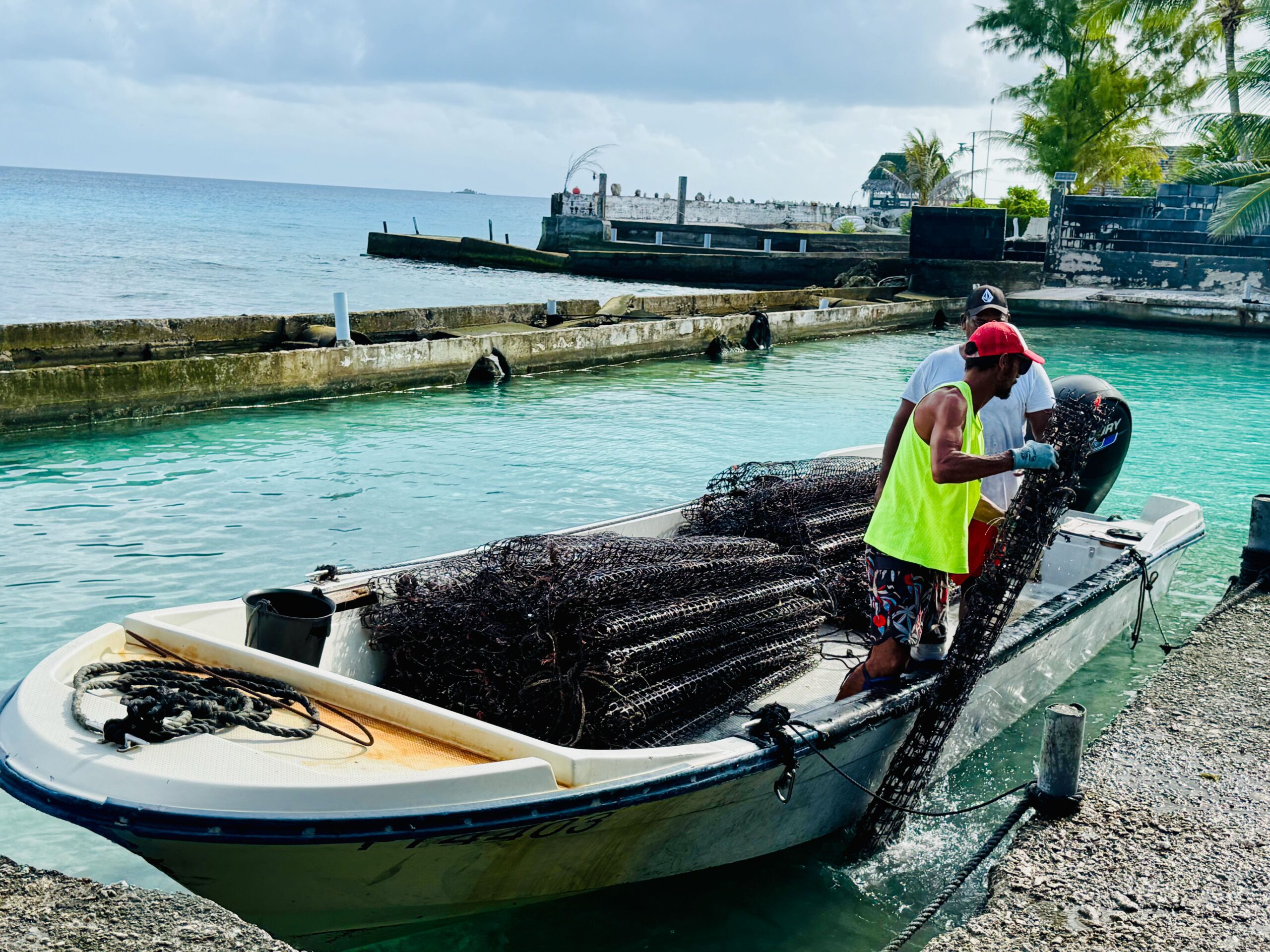 Rangiroa Pearl Farm