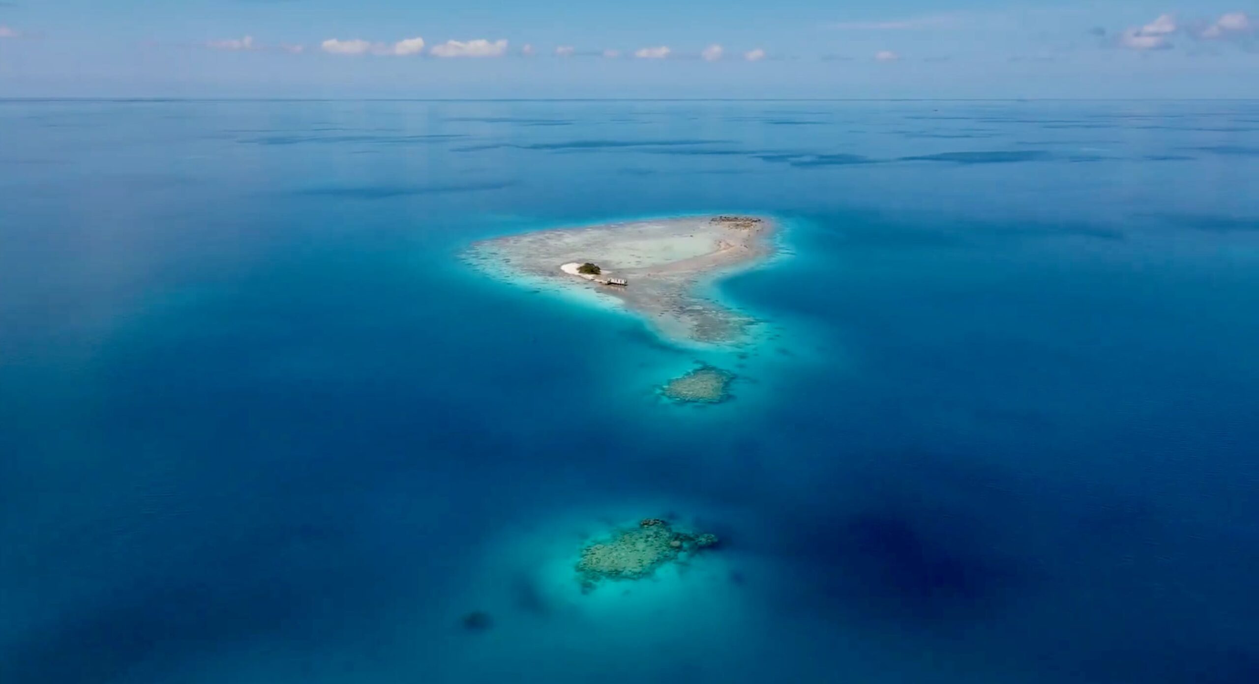 Tikehau manta ray cleaning station