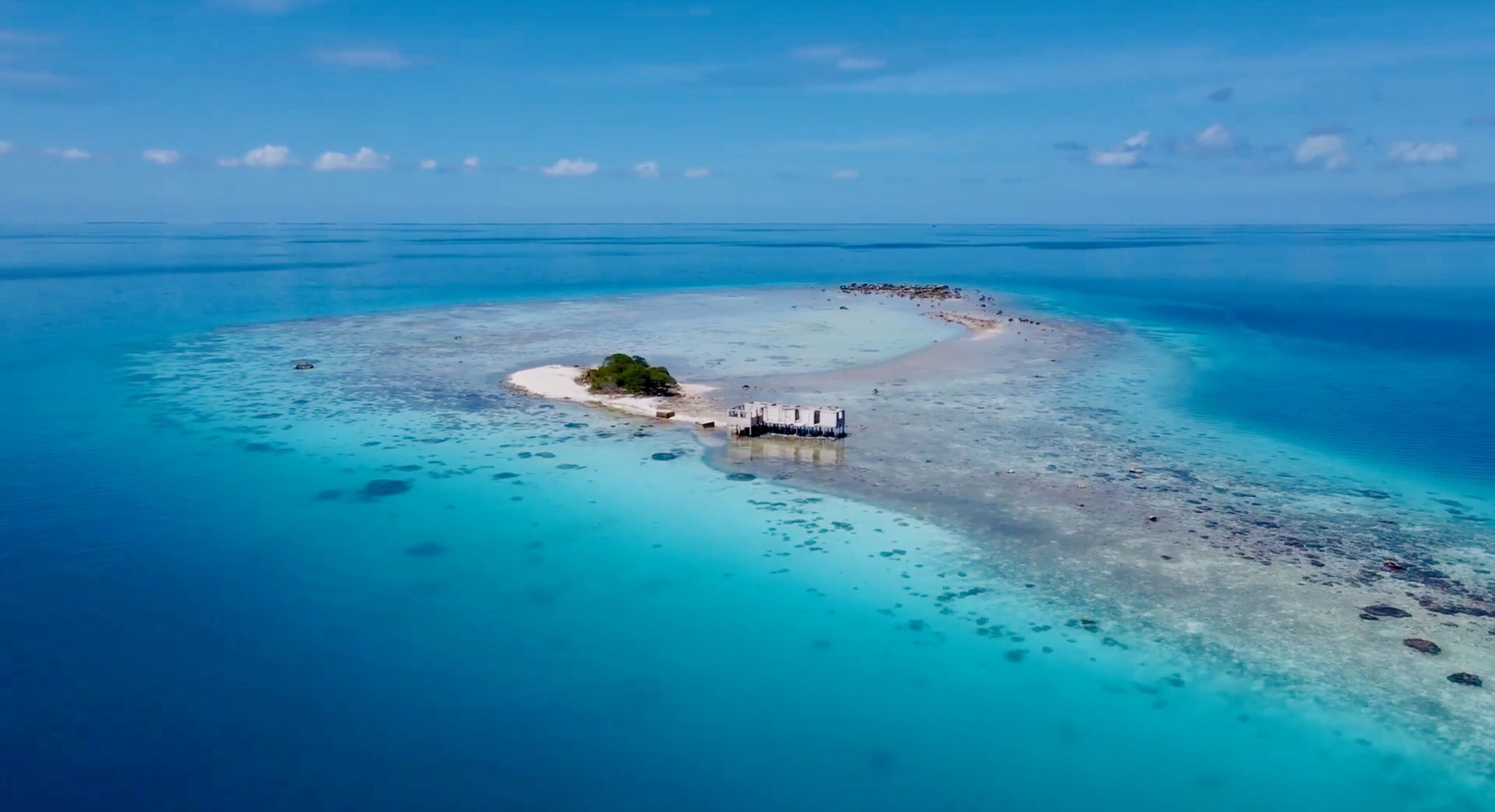 Tikehau manta ray cleaning station