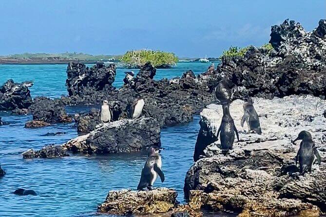 Isabela Island, Galapagos