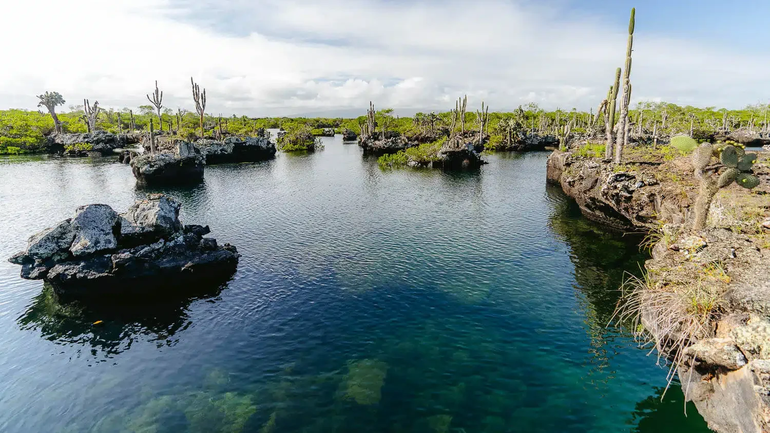 Isabela Island, Galapagos