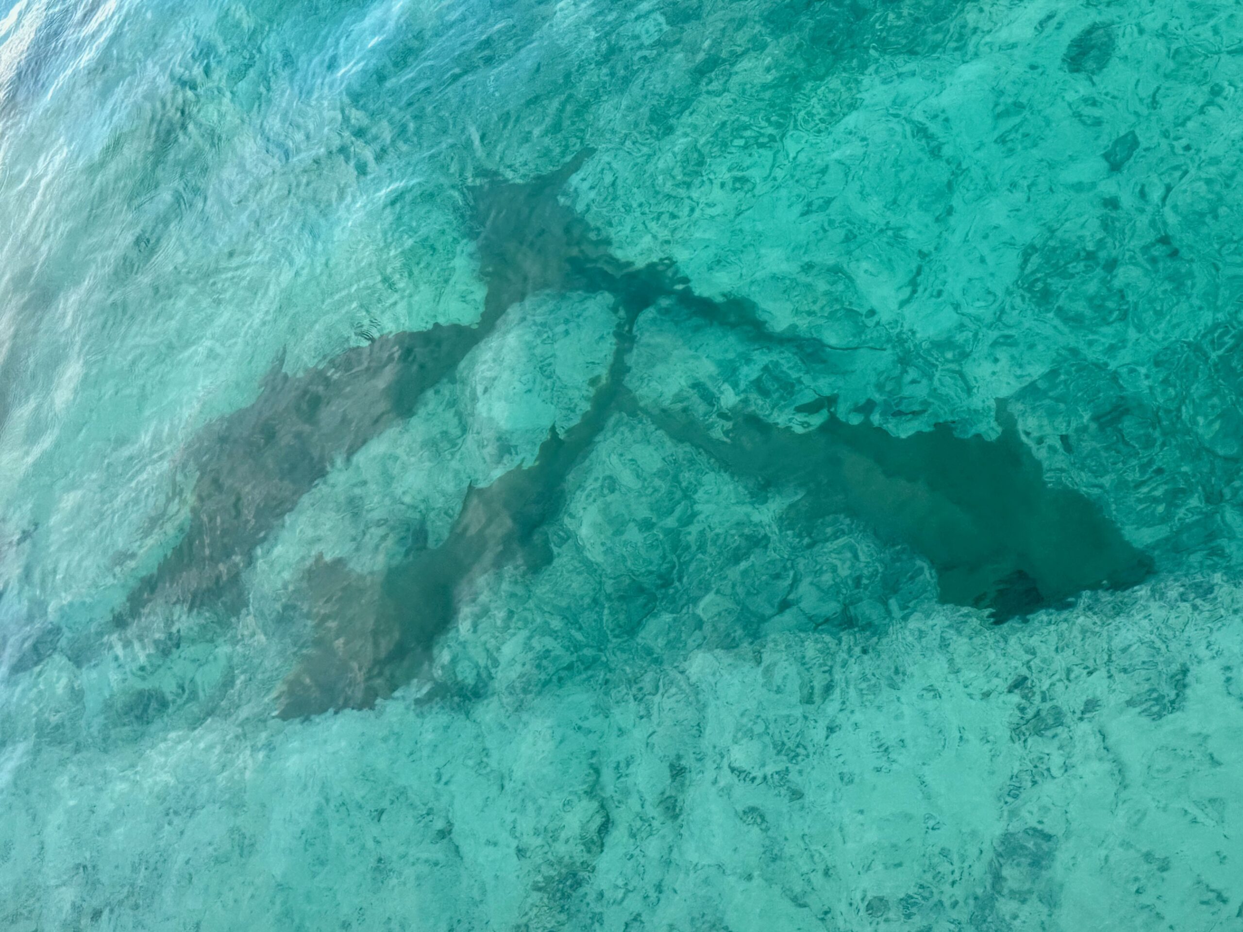 Rangiroa Avatoru Pass