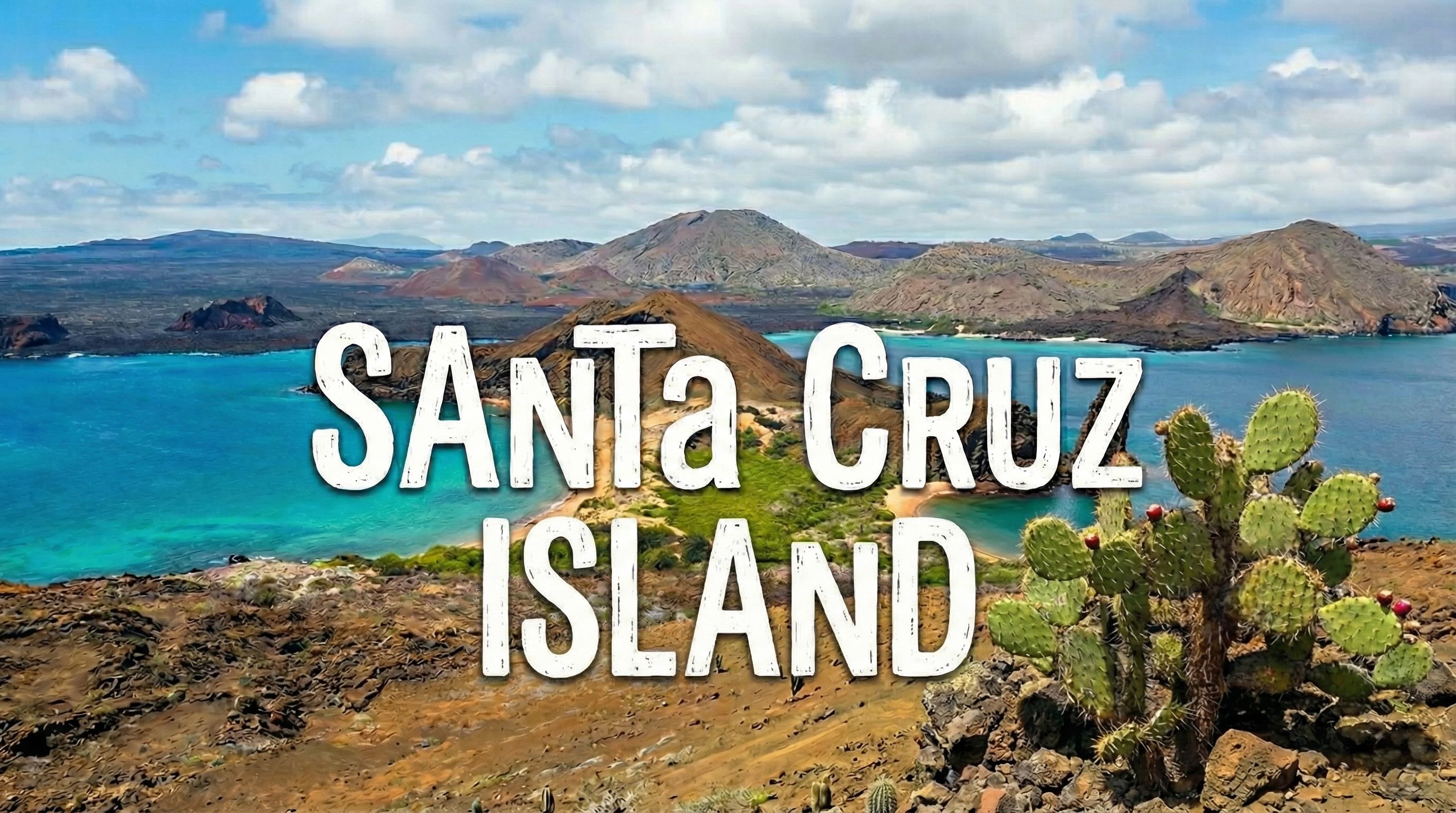 Santa Cruz Island: A Surprisingly Civilized Destination