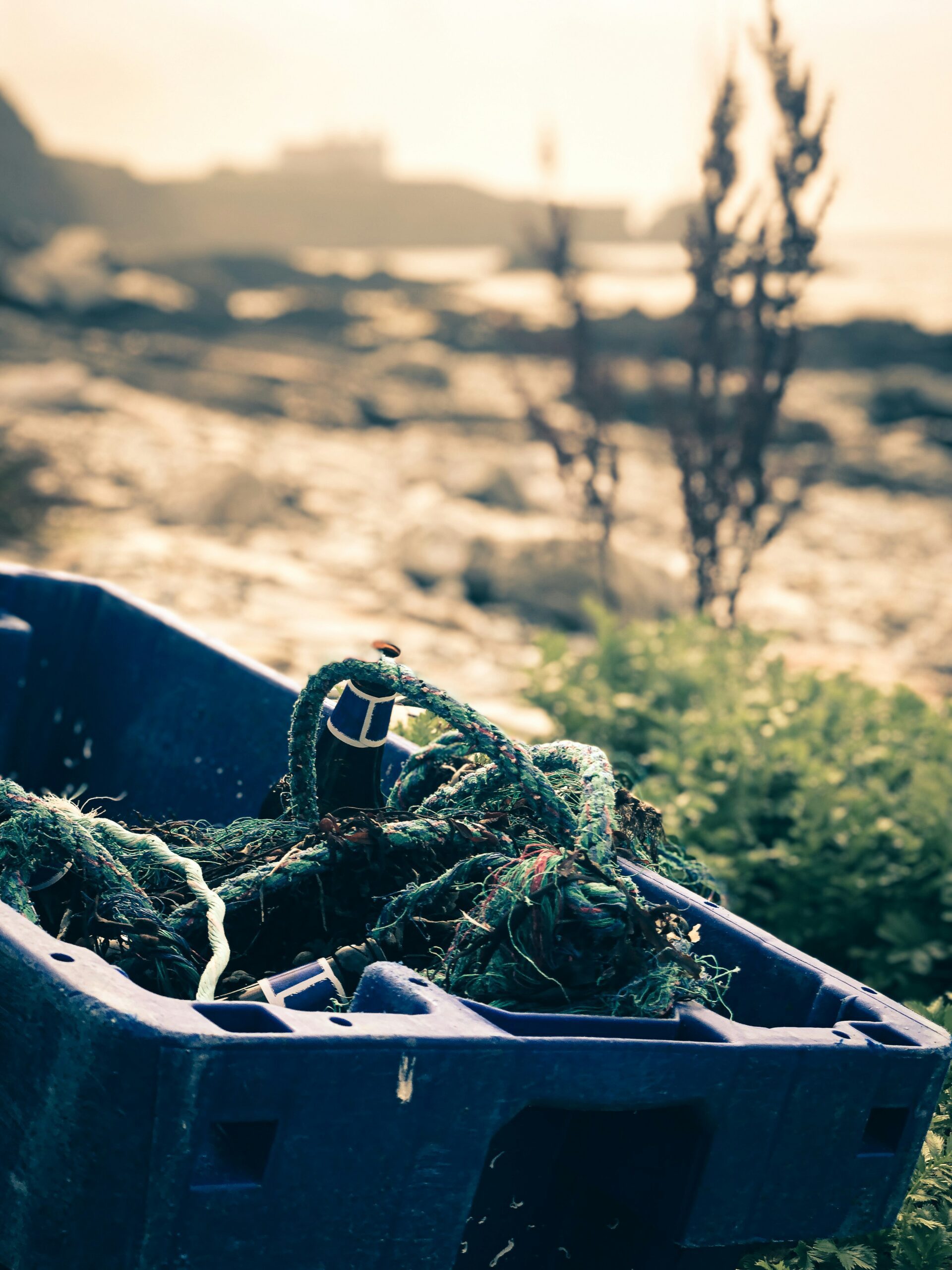 Beach trash like I found on Toau