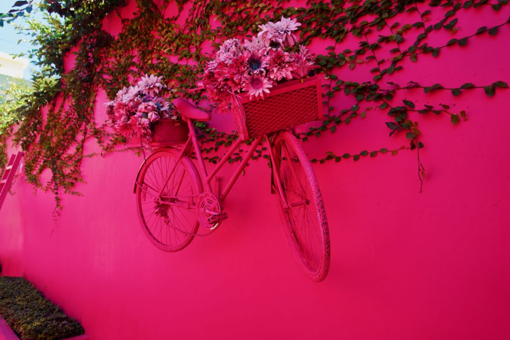 Puerto Plata—Paseo de Doña Blanca (The Pink Alley)